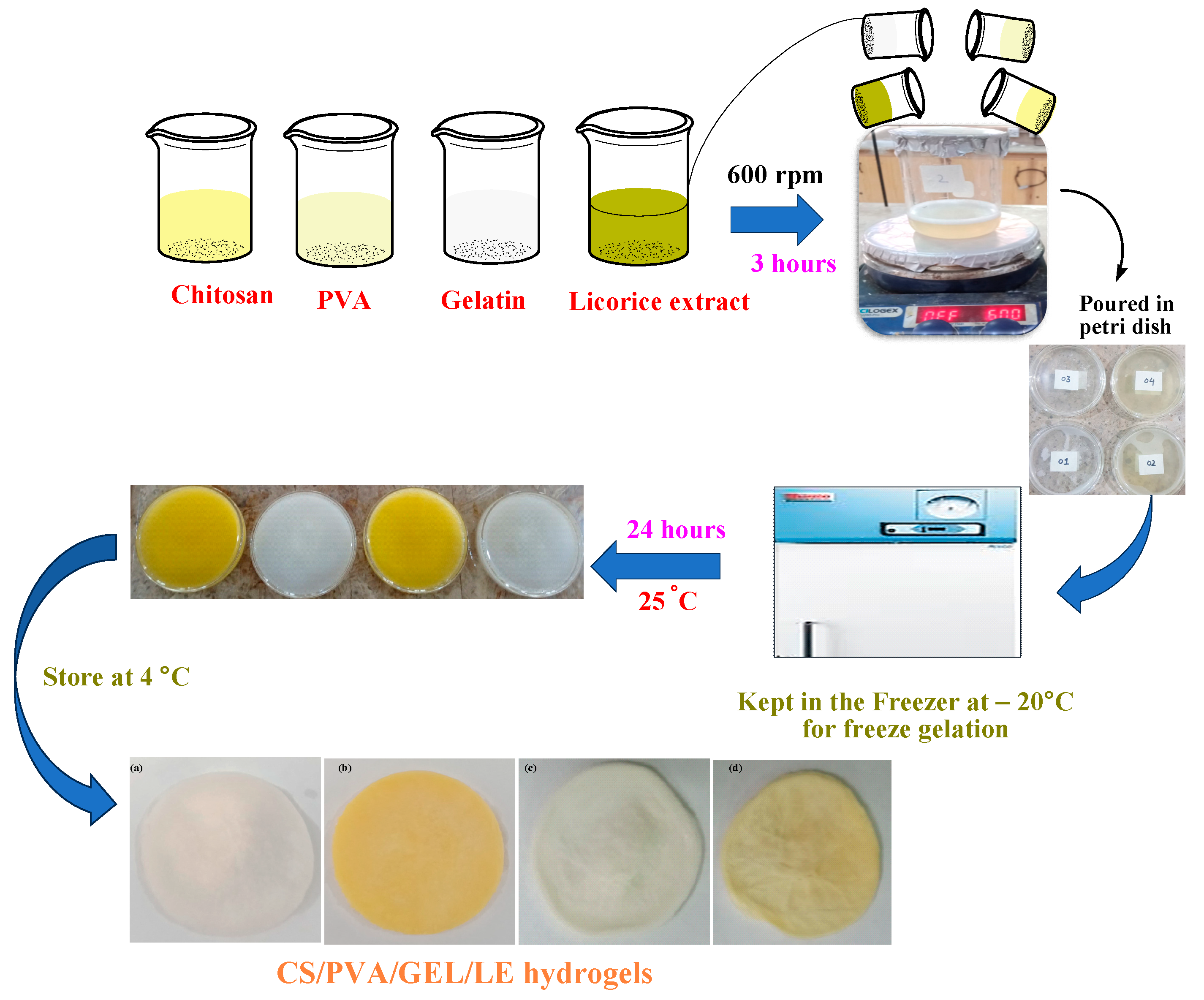 Bioengineering 12 00439 g002