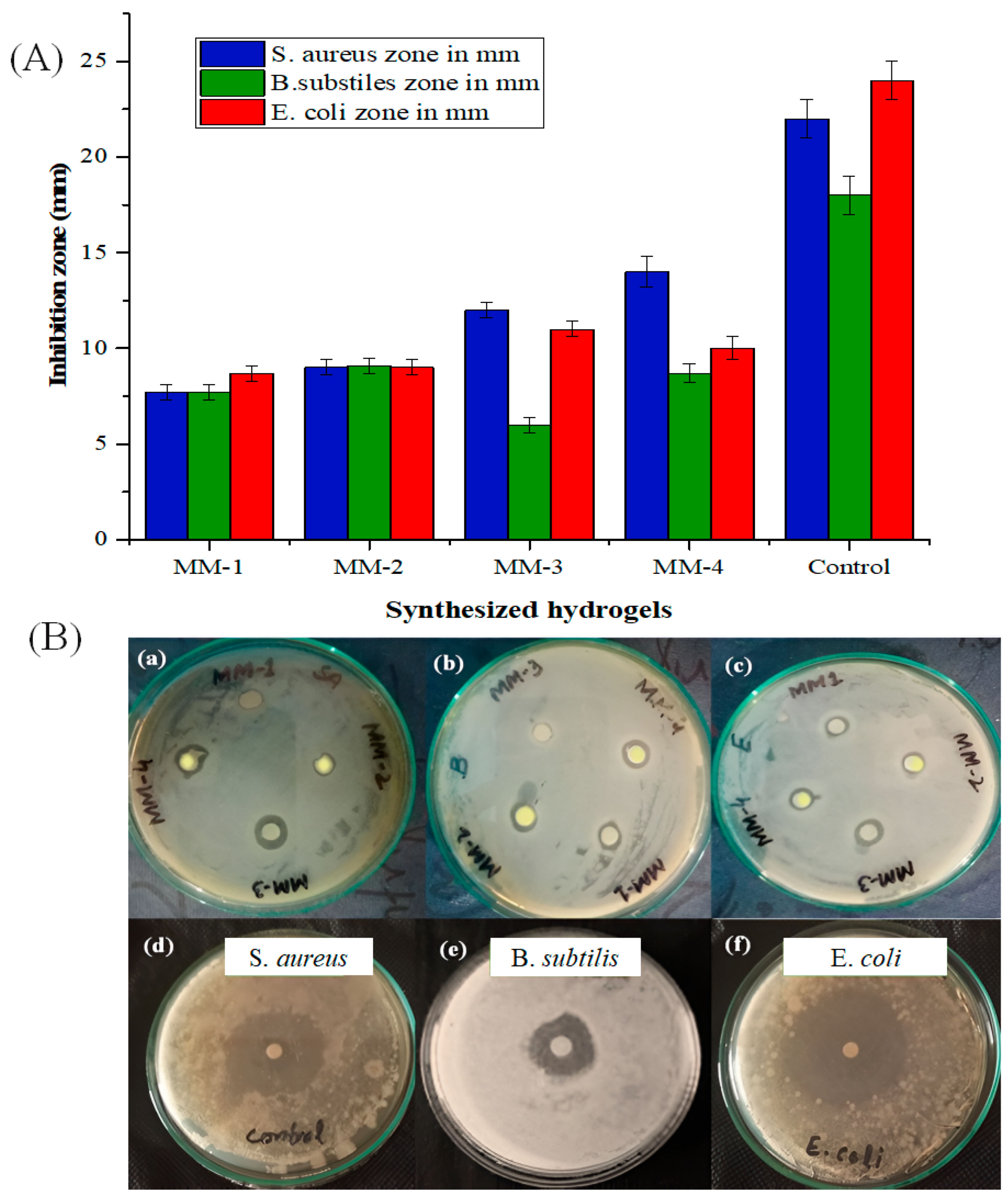 Bioengineering 12 00439 g011