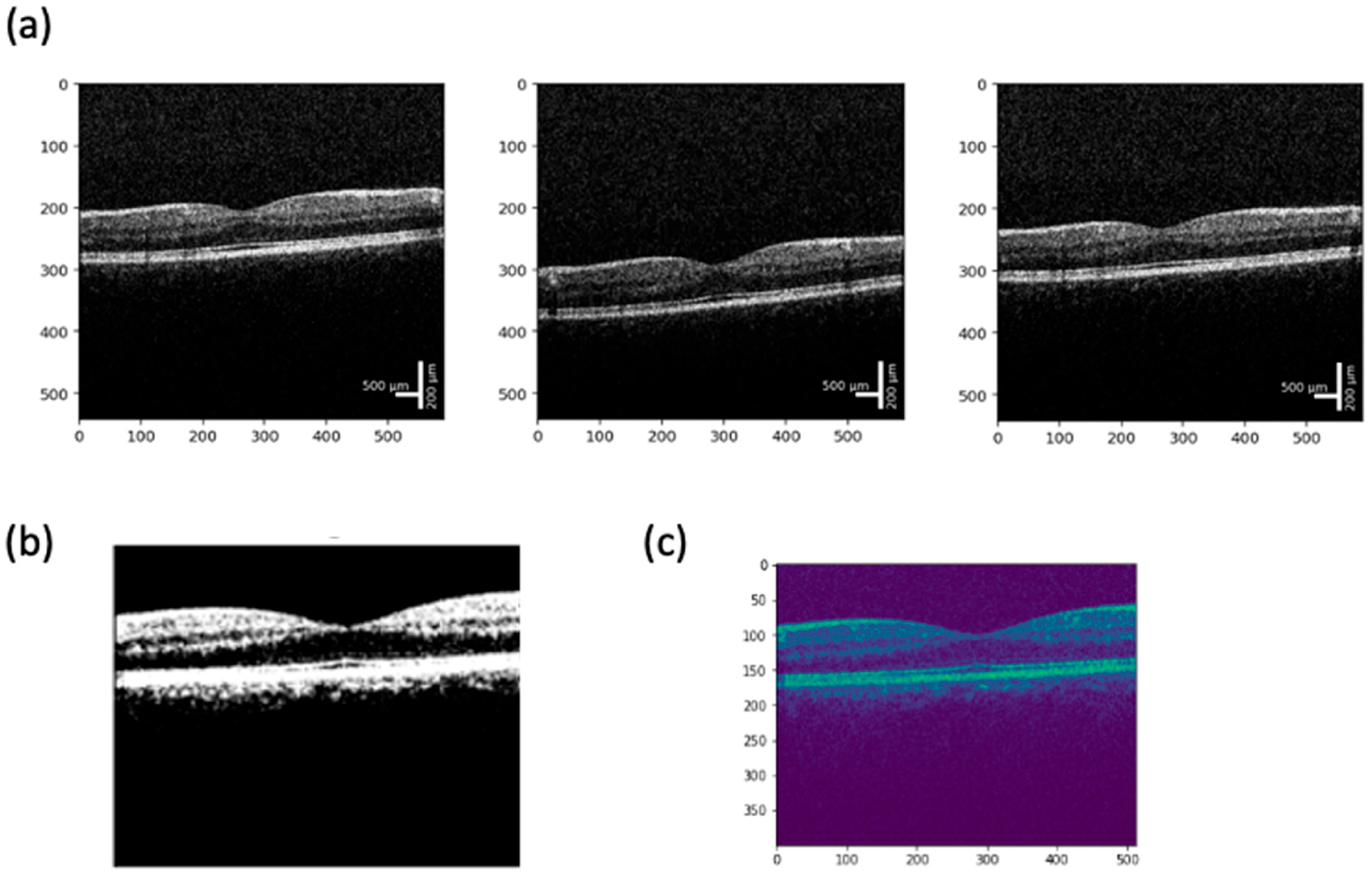 Bioengineering 12 00441 g003 Bioengineering 12 00441 g003