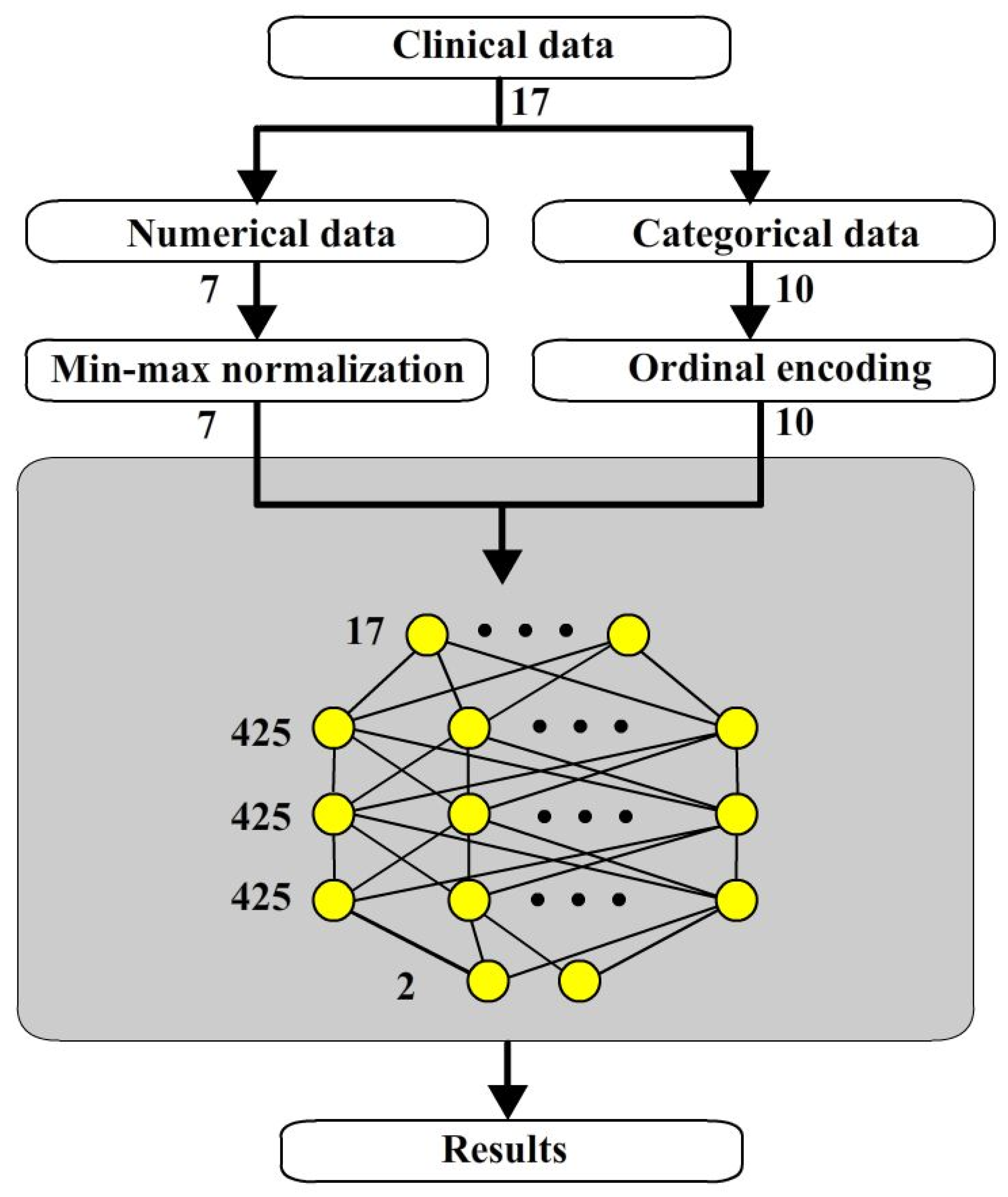 Bioengineering 12 00447 g001