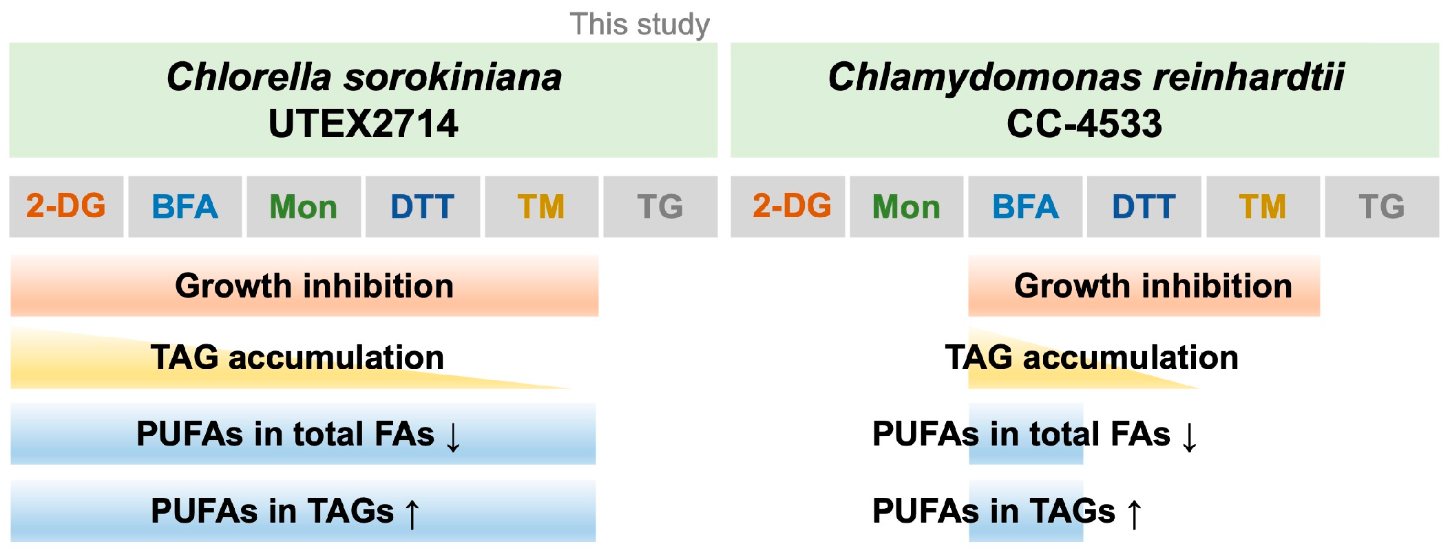 Bioengineering 12 00452 g008