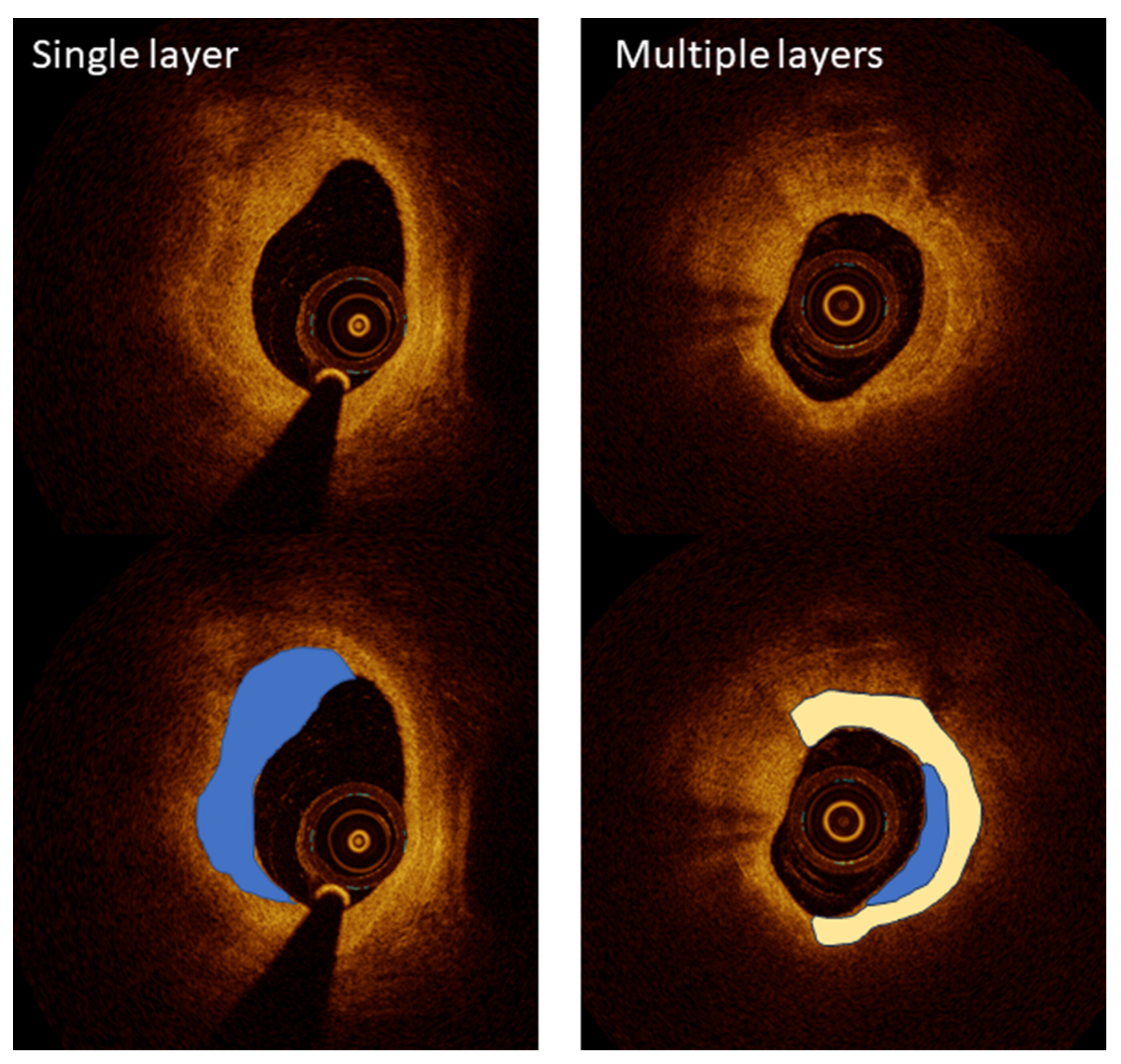 Bioengineering 12 00488 g002