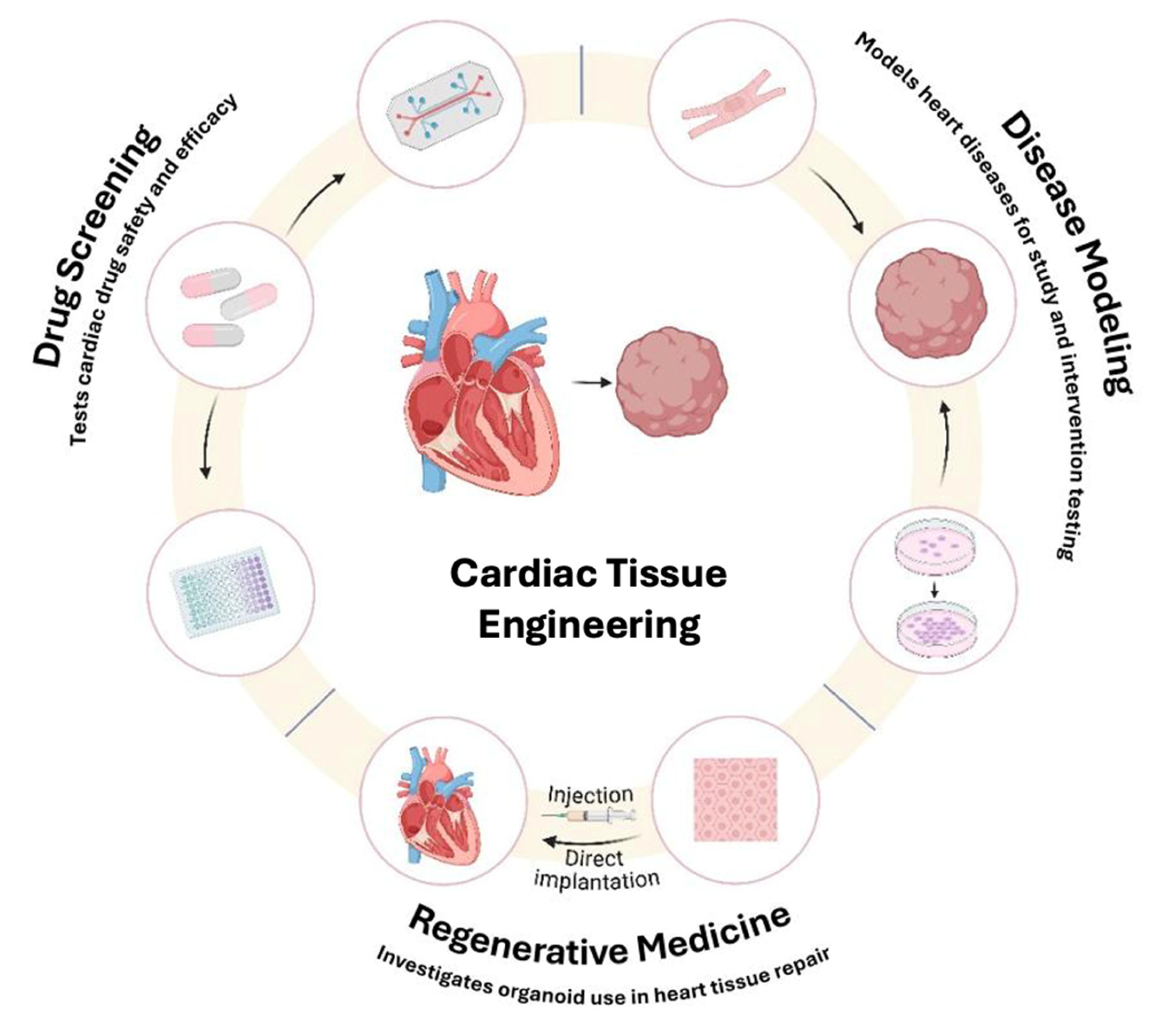 Bioengineering 12 00518 g001