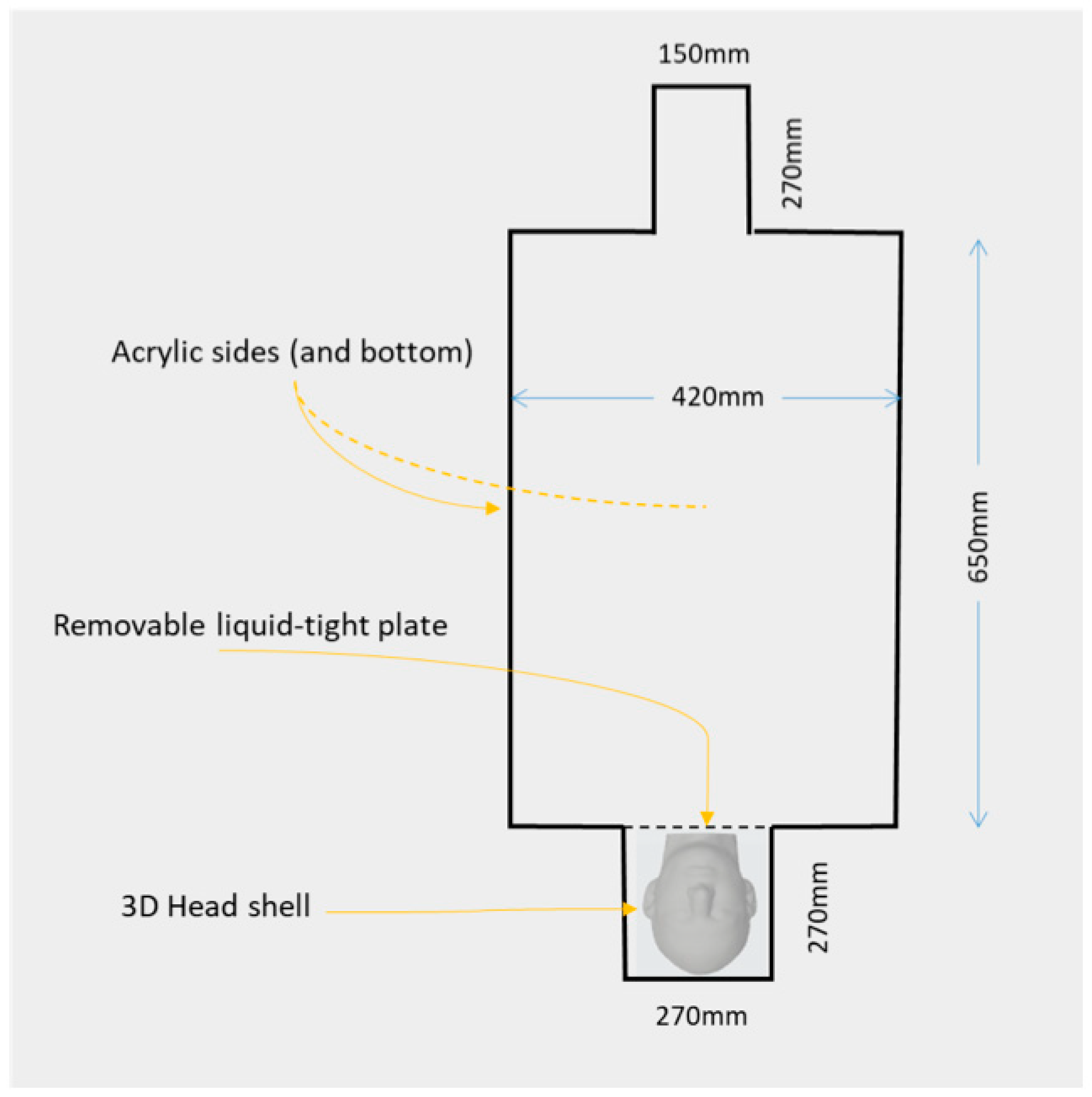 Bioengineering 12 00564 g001