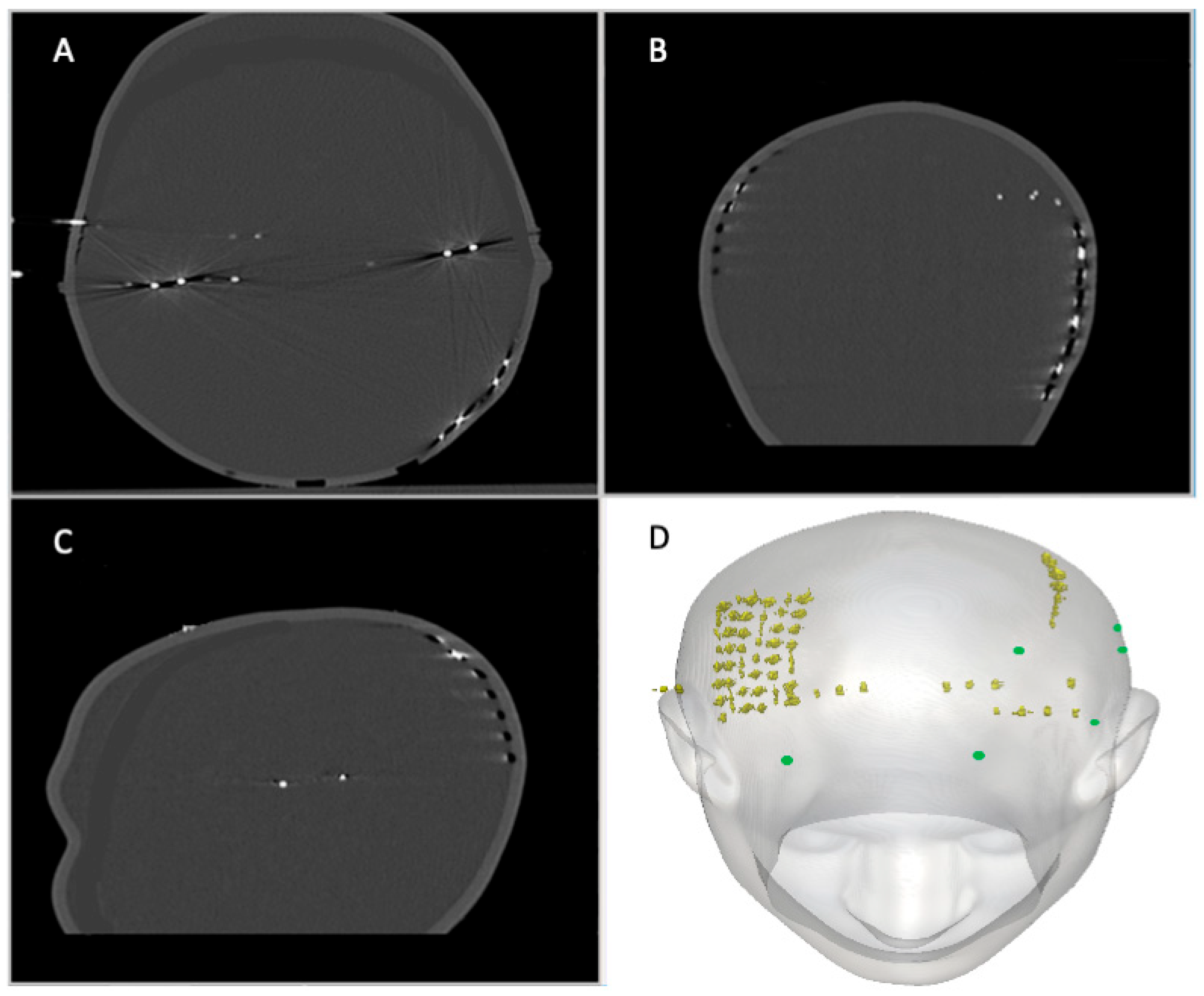 Bioengineering 12 00564 g003