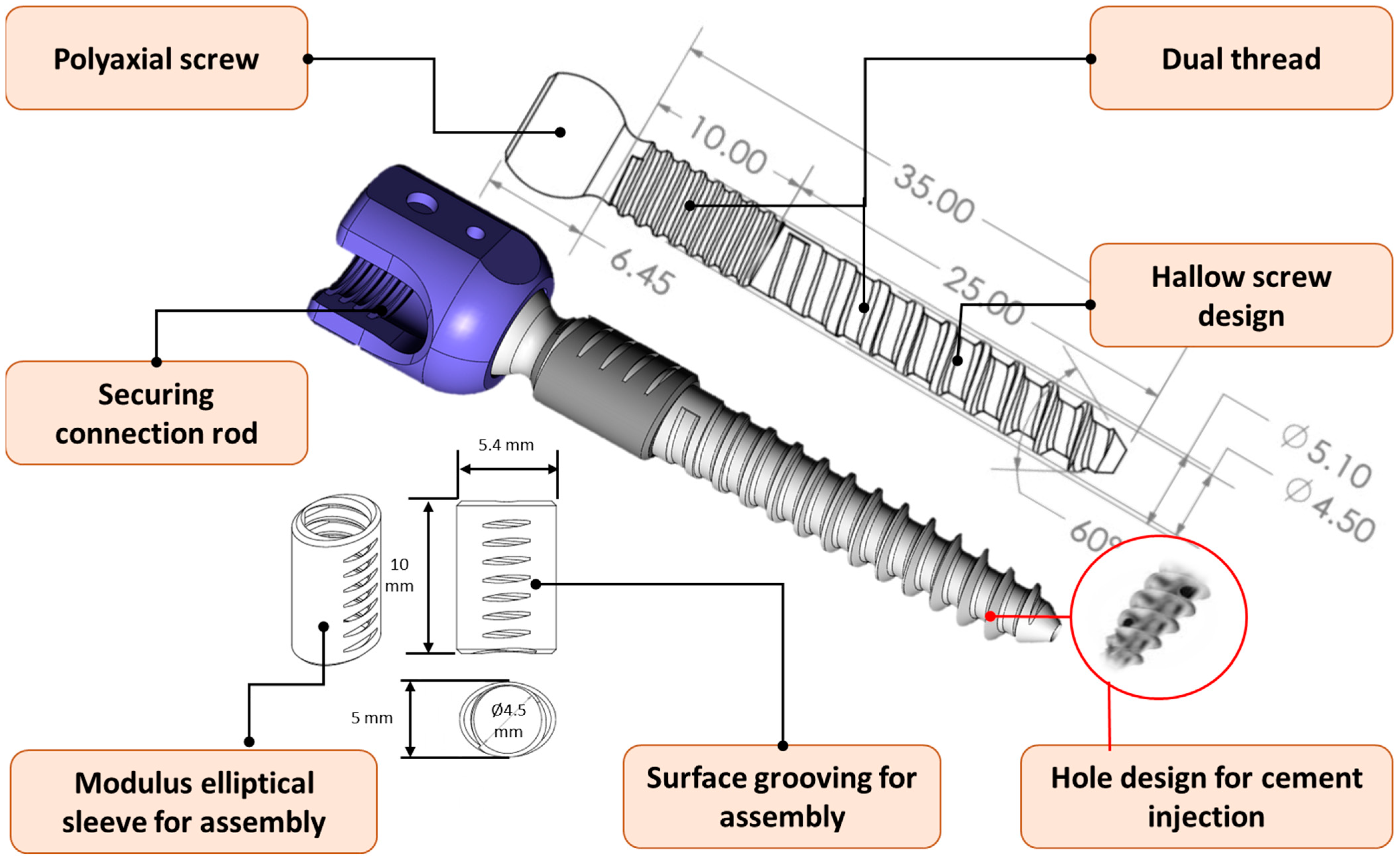 Bioengineering 12 00668 g003