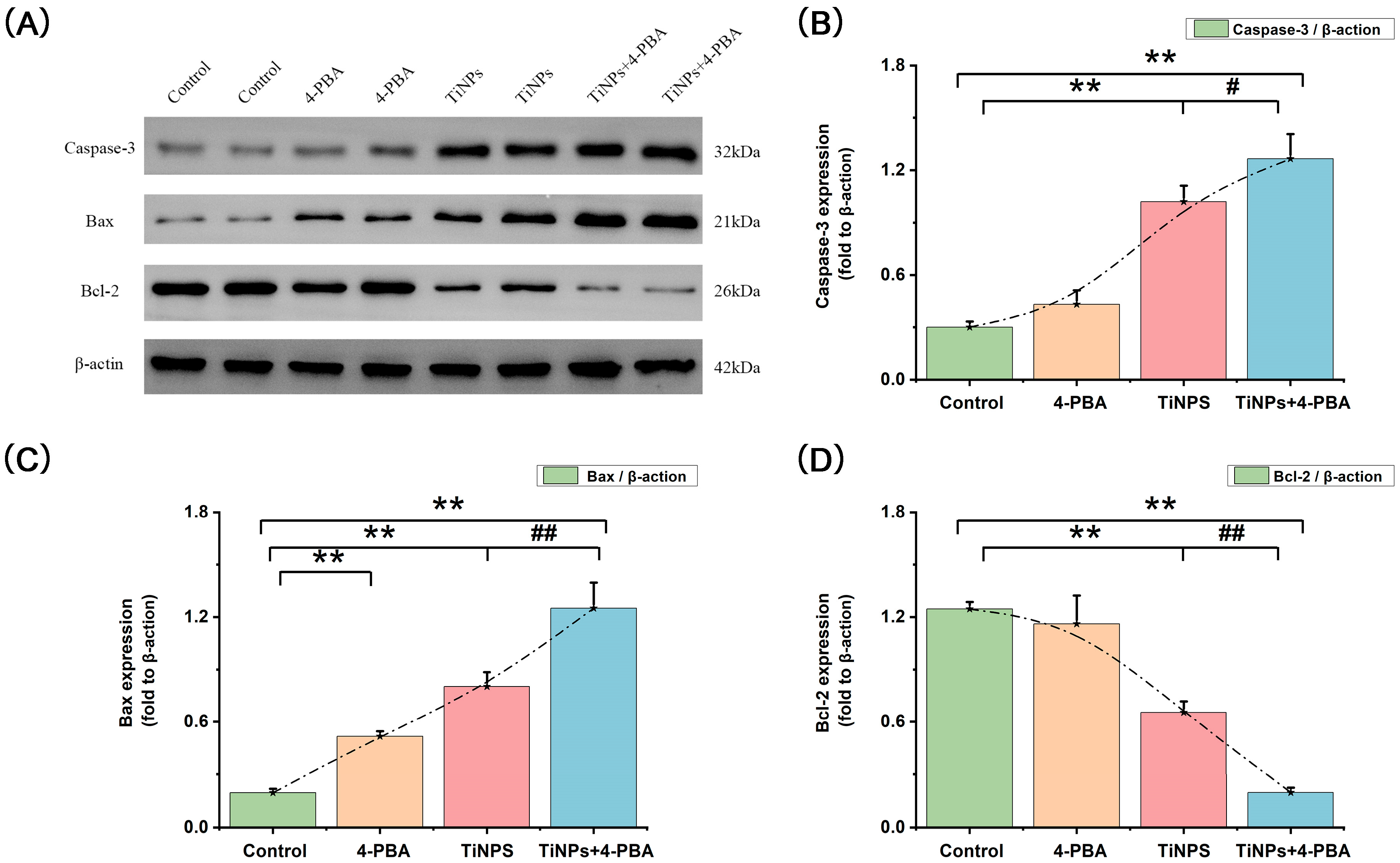 Bioengineering 12 00701 g003