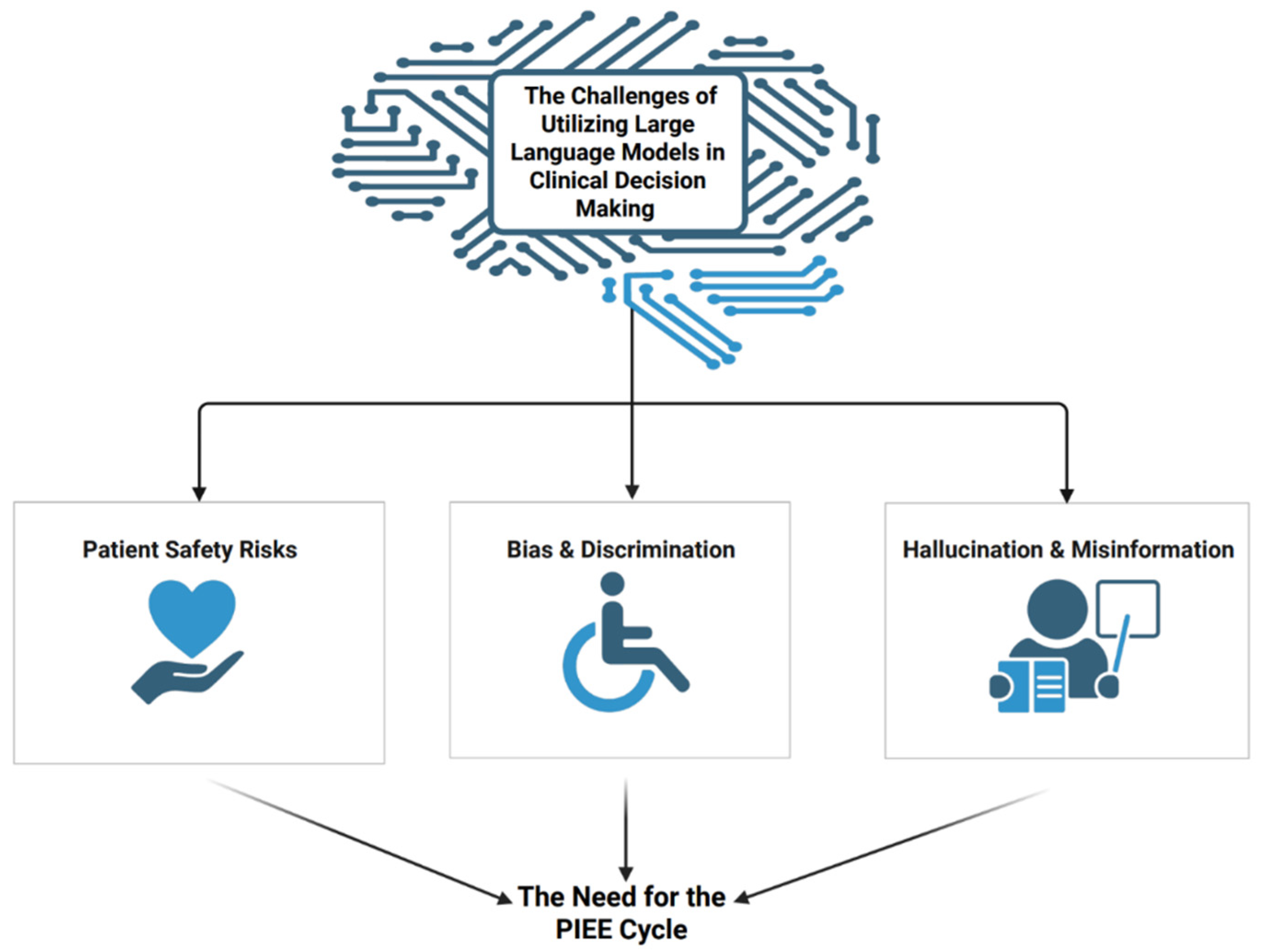 Bioengineering 12 00706 g001