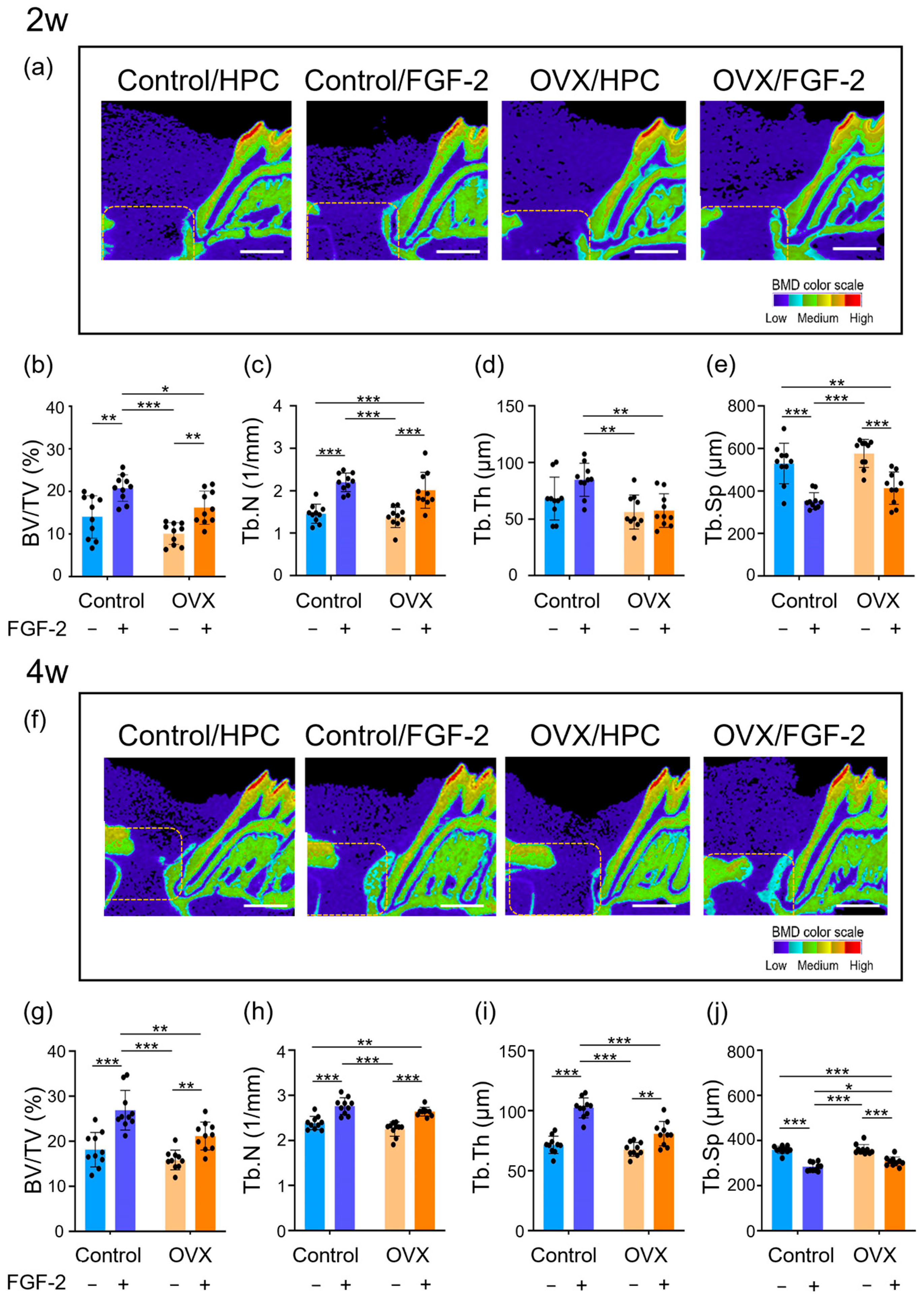 Bioengineering 12 00748 g001