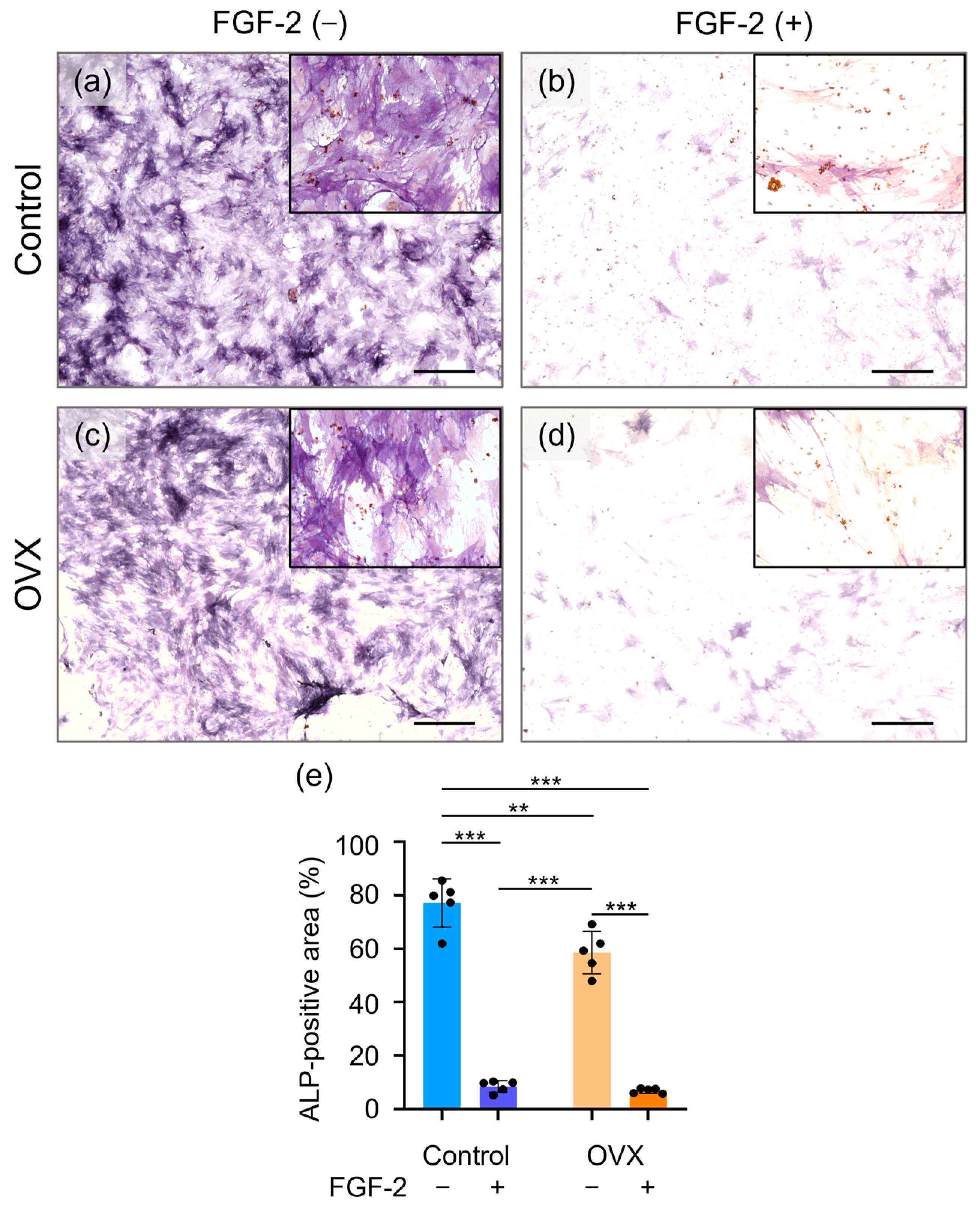 Bioengineering 12 00748 g006