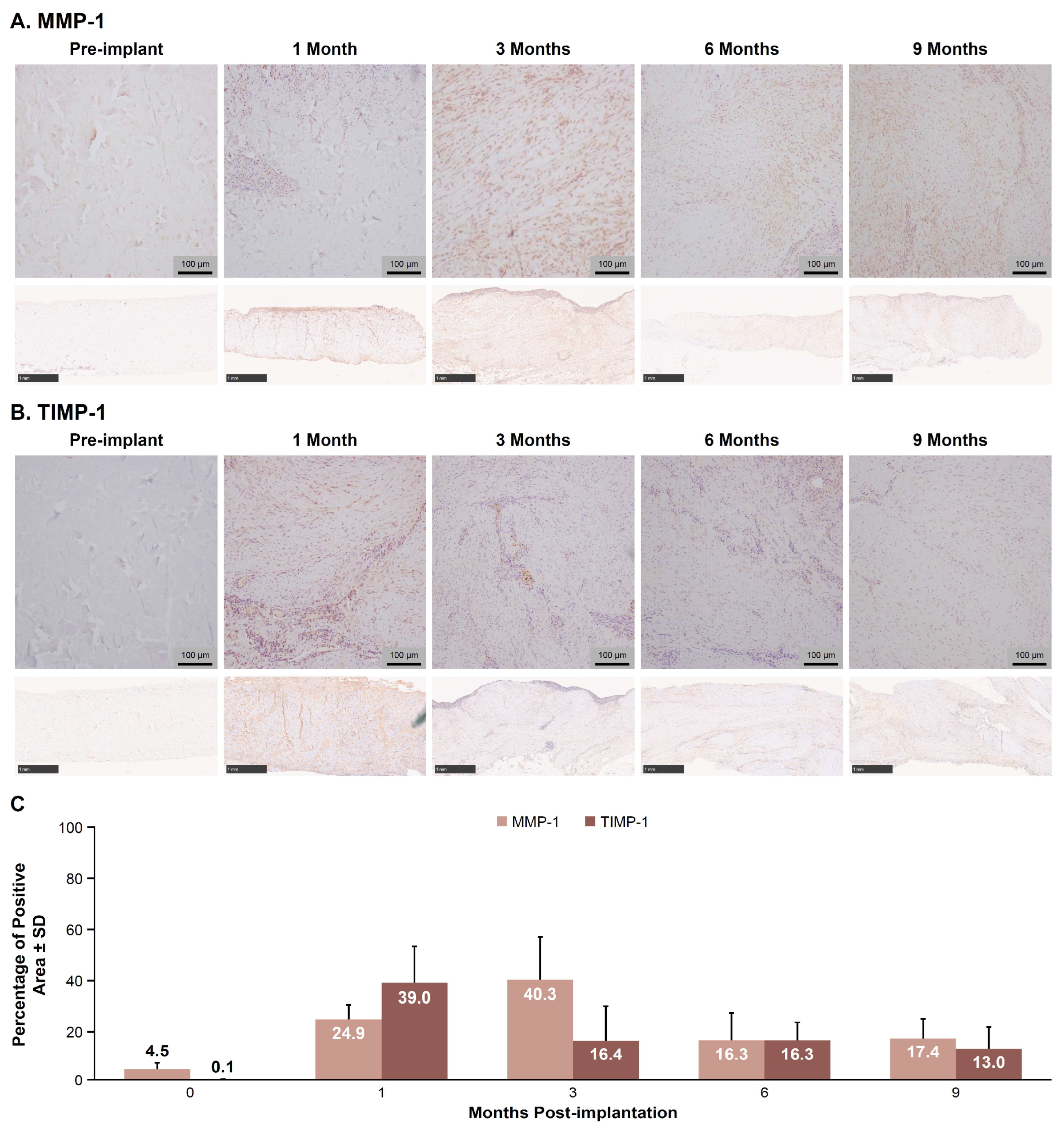 Bioengineering 12 00796 g003