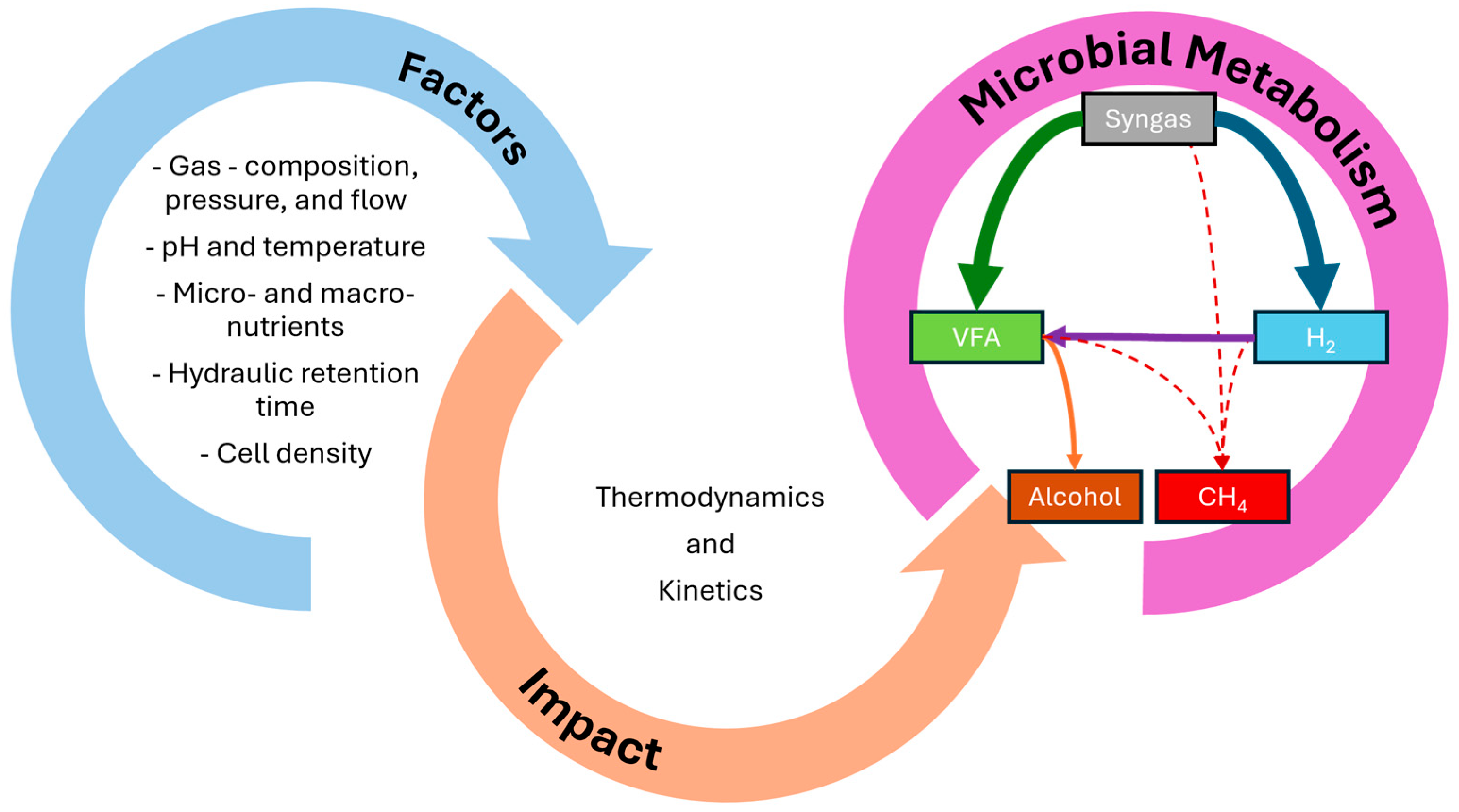 Bioengineering 12 00816 g002