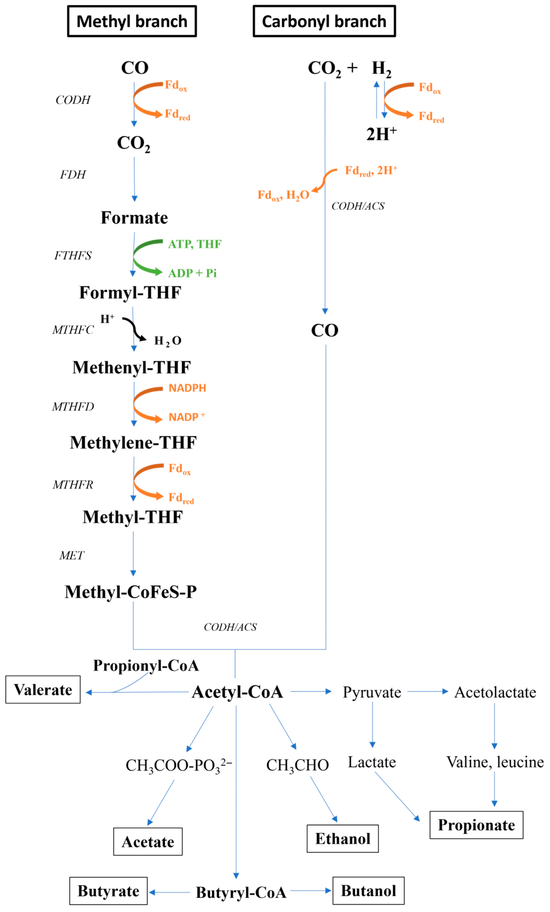 Bioengineering 12 00816 g004