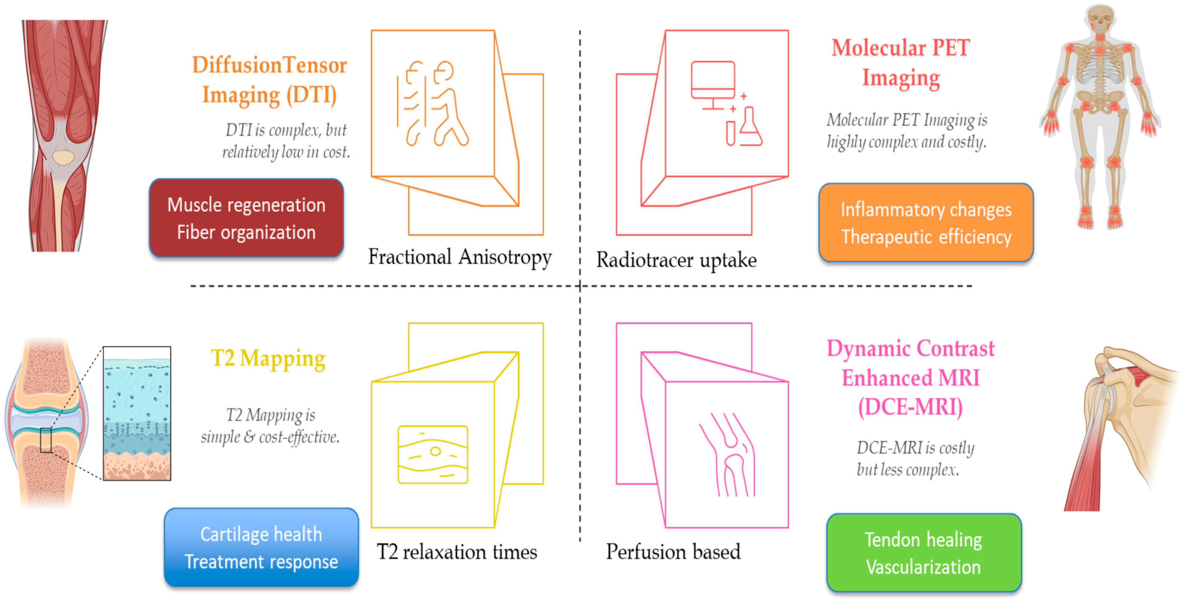 Bioengineering 12 00908 g002 Bioengineering 12 00908 g002