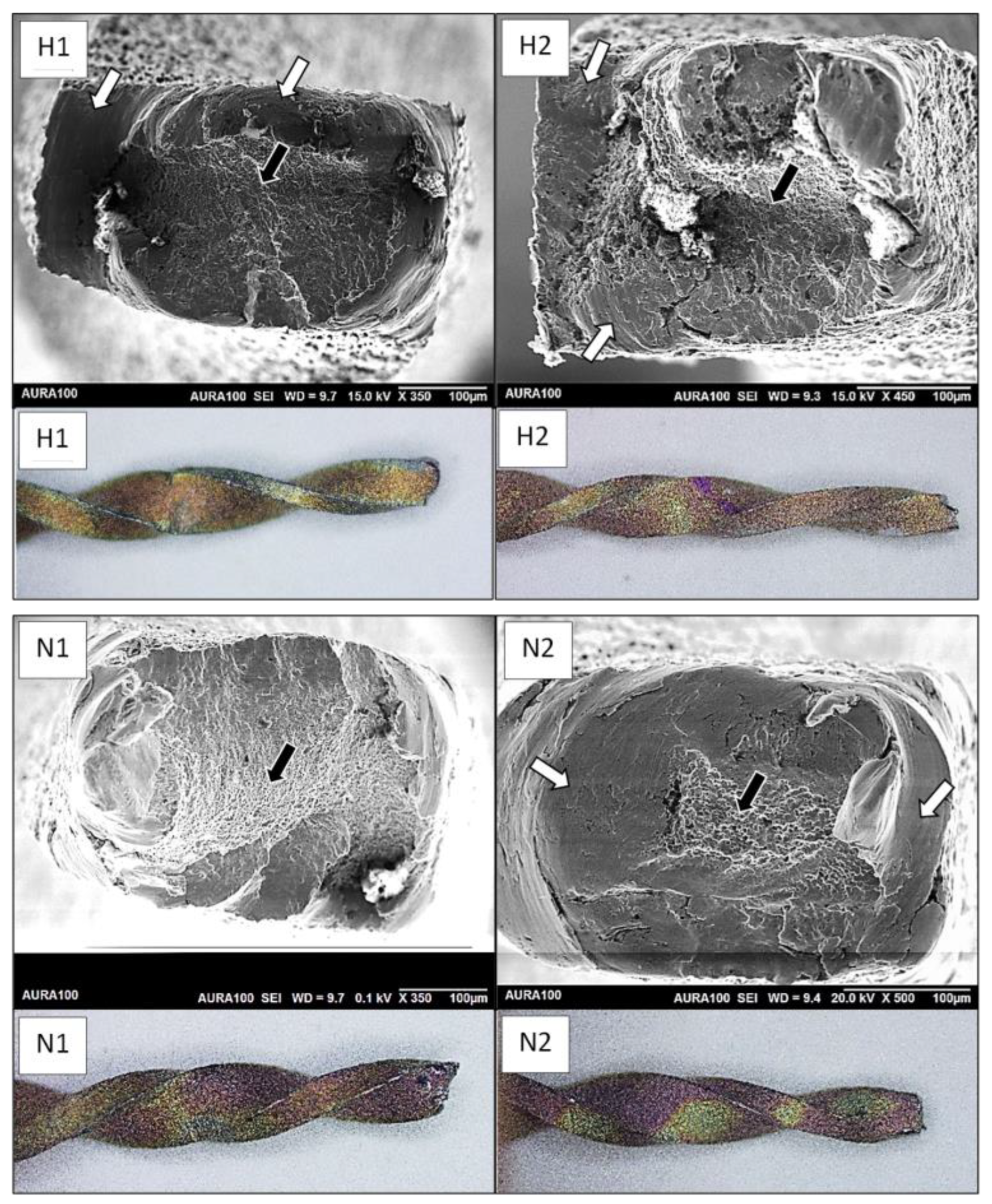 Bioengineering 12 00985 g001 Bioengineering 12 00985 g001