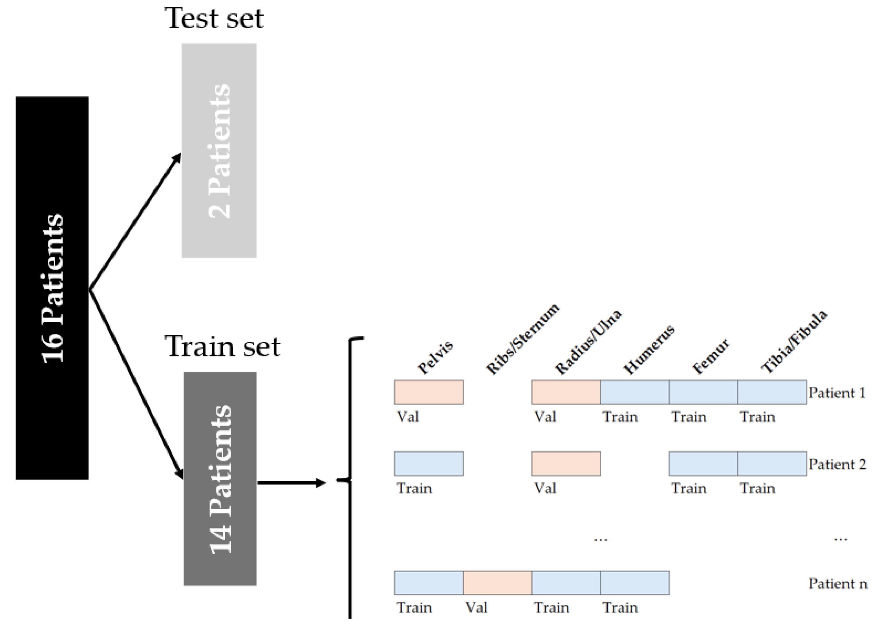 Bioengineering 12 01008 g001 Bioengineering 12 01008 g001