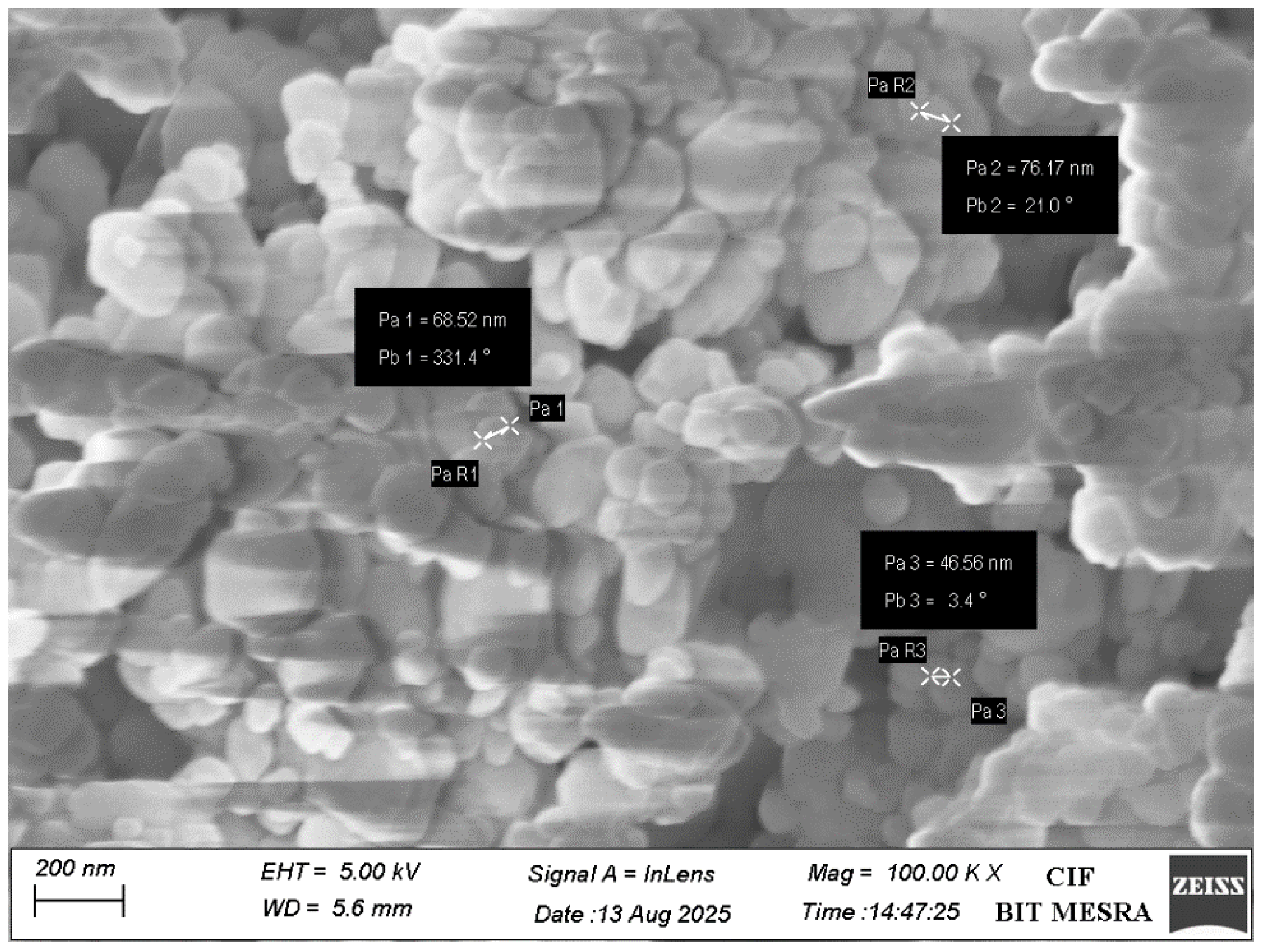 Bioengineering 12 01016 g003 Bioengineering 12 01016 g003
