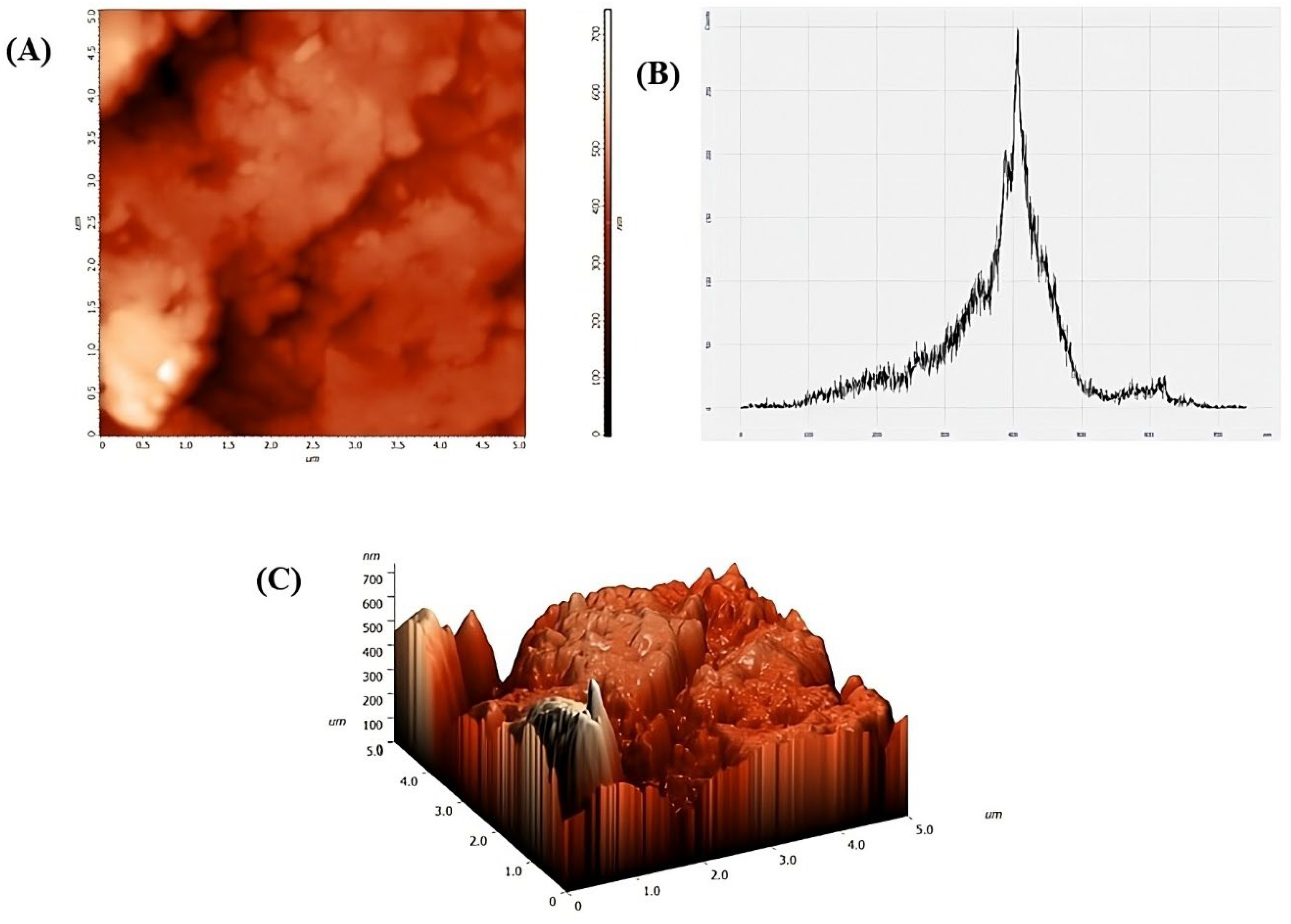 Bioengineering 12 01016 g005 Bioengineering 12 01016 g005