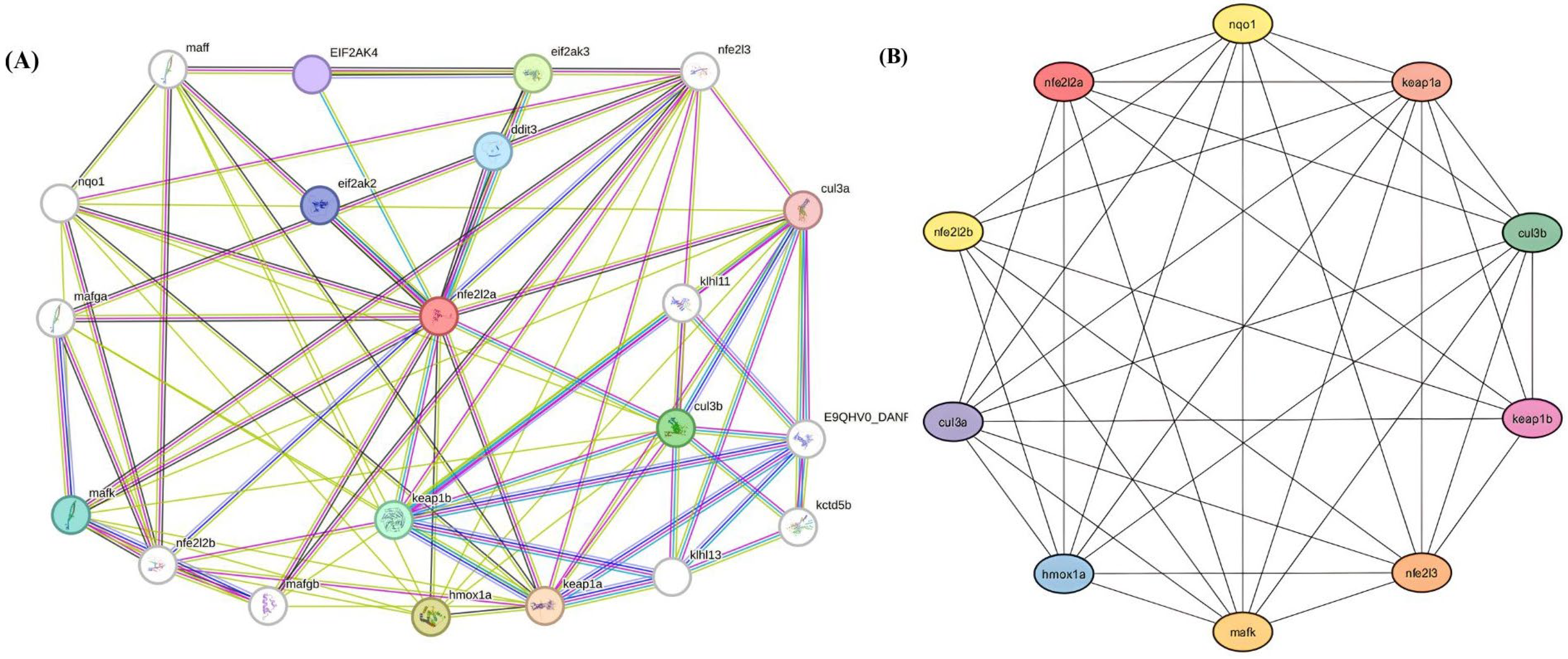 Bioengineering 12 01016 g010 Bioengineering 12 01016 g010