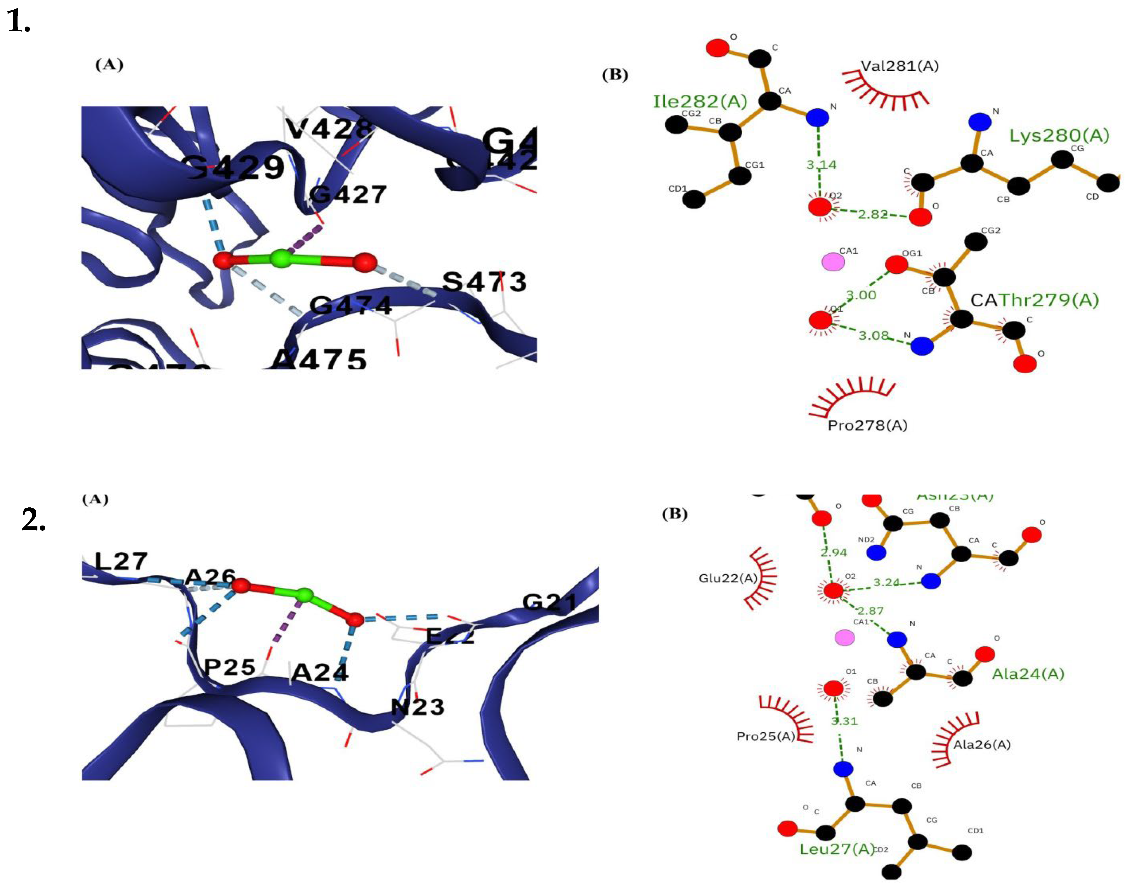 Bioengineering 12 01016 g012 Bioengineering 12 01016 g012