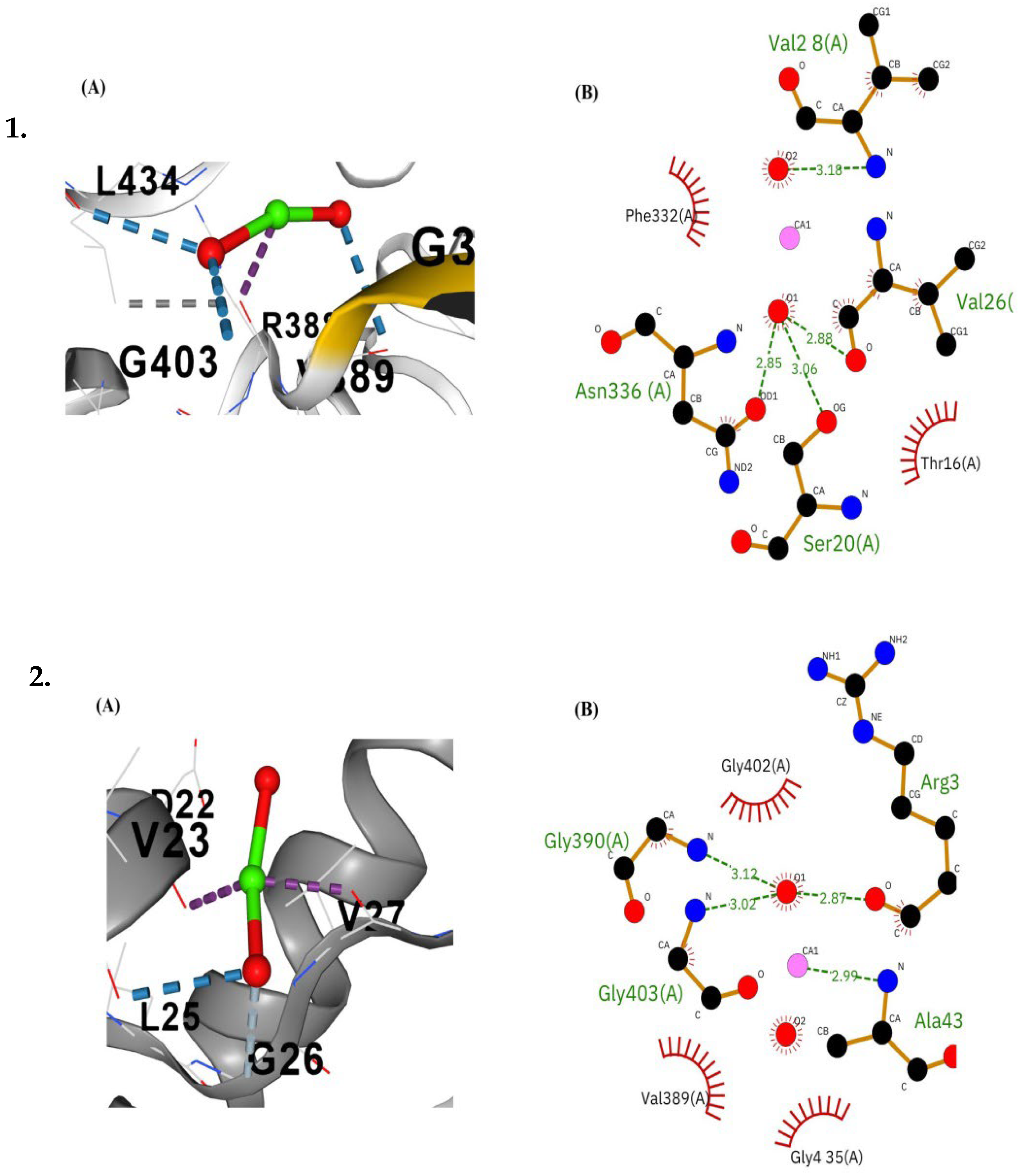 Bioengineering 12 01016 g013 Bioengineering 12 01016 g013