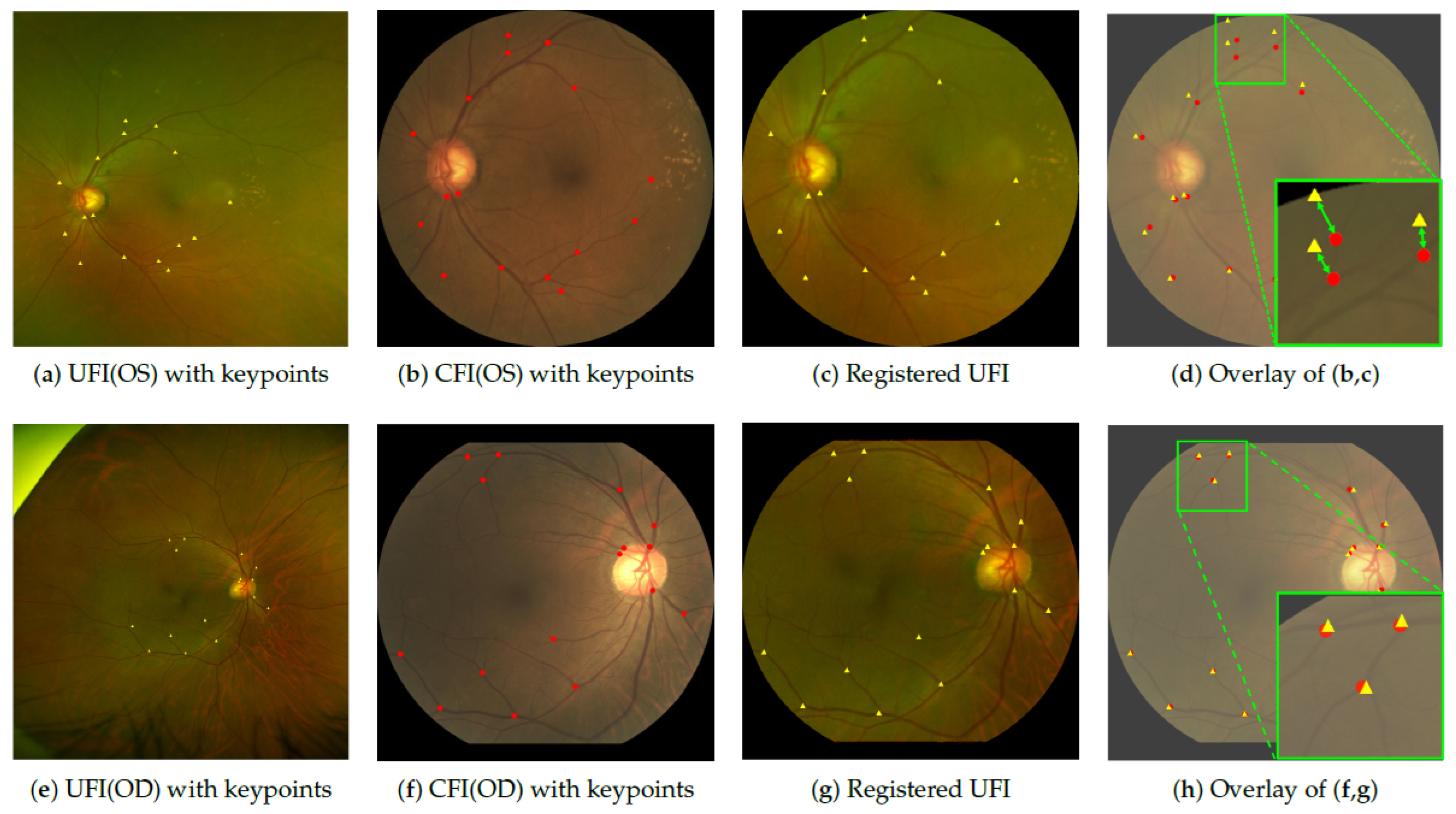 Bioengineering 12 01046 g005 Bioengineering 12 01046 g005