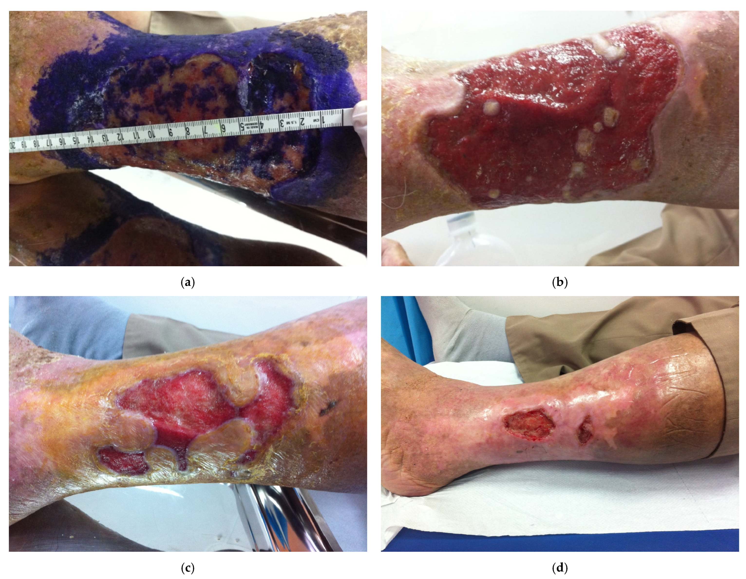 Bioengineering 12 01053 g001 Bioengineering 12 01053 g001