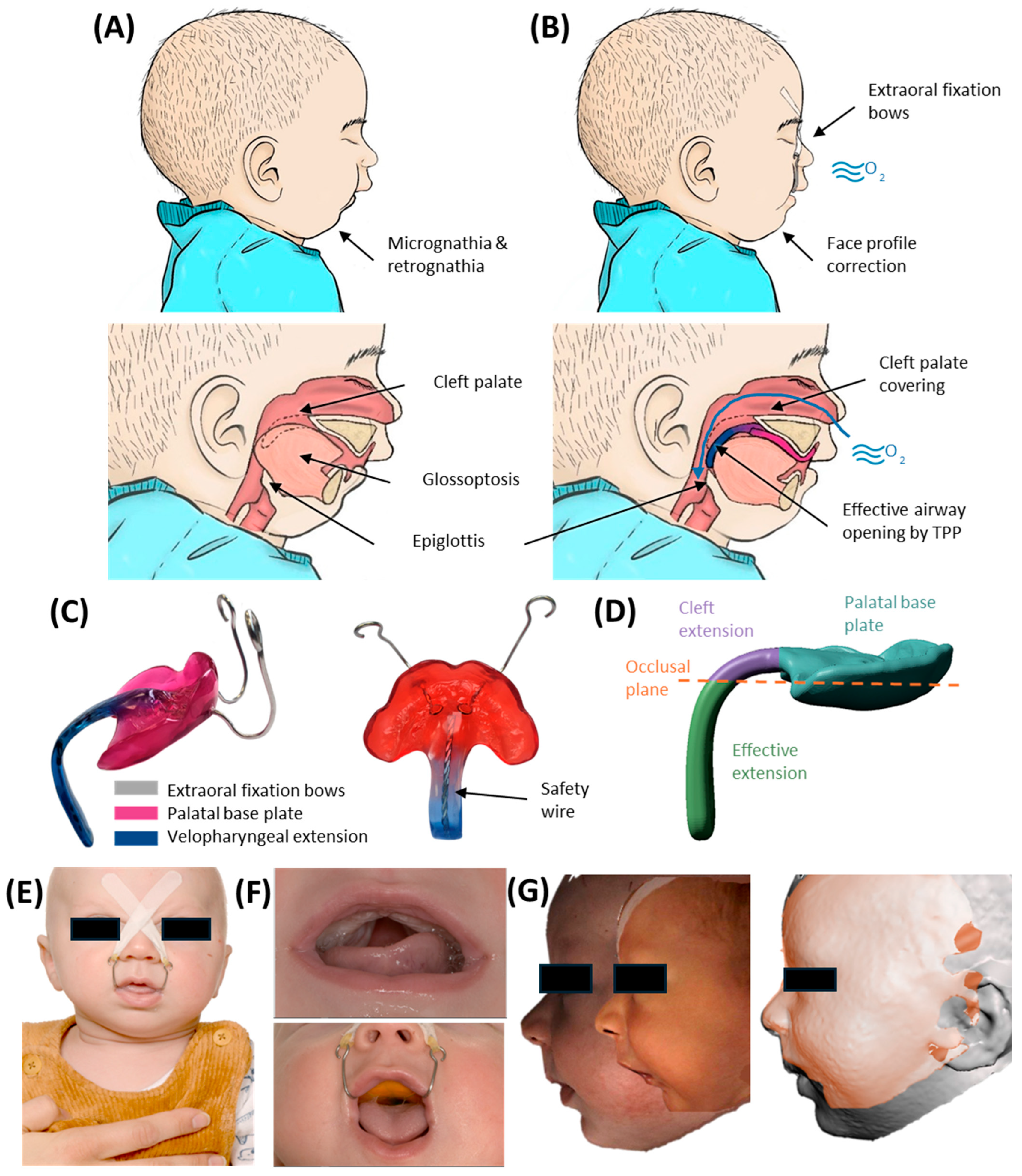 Bioengineering 12 01063 g001 Bioengineering 12 01063 g001