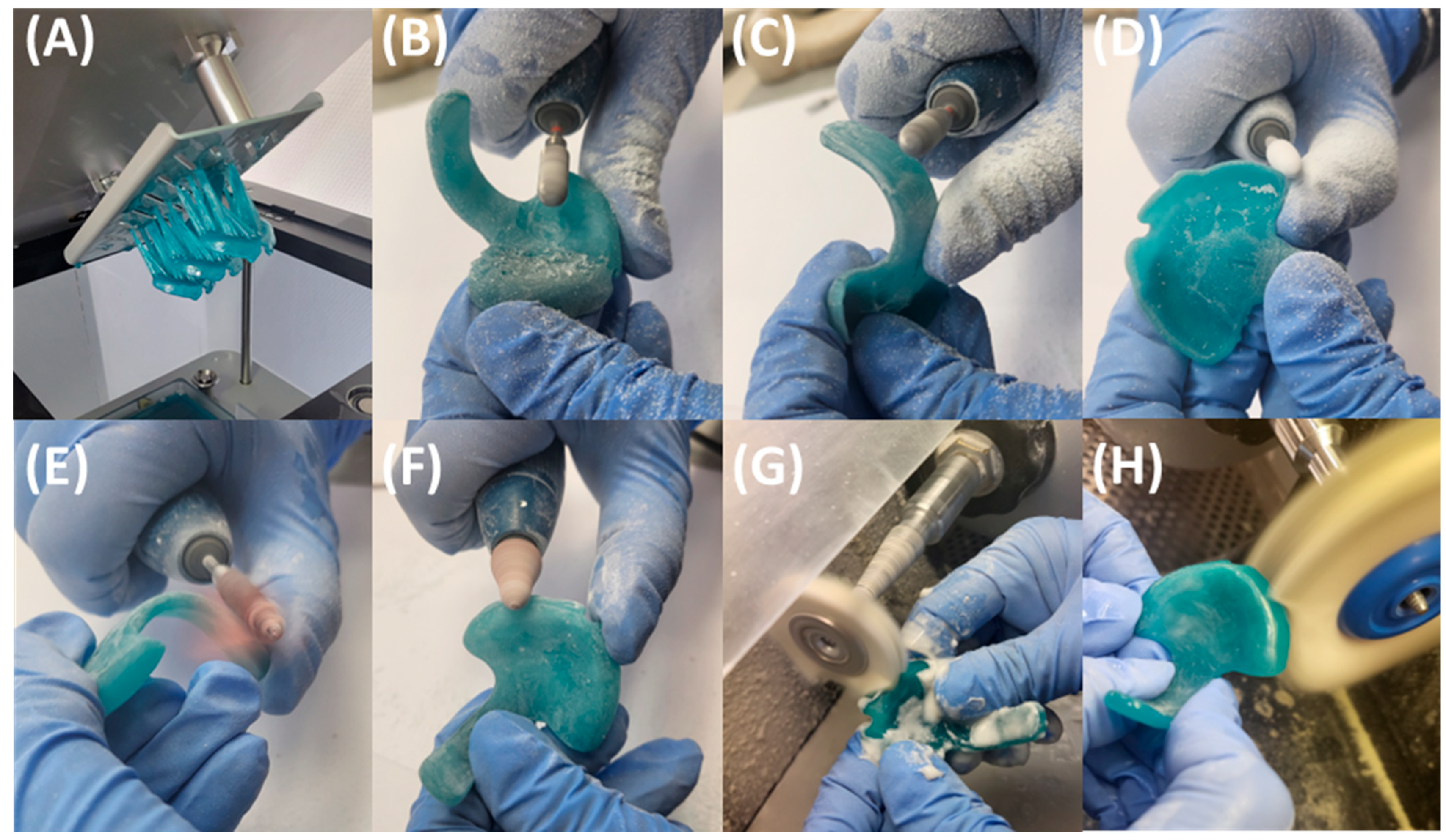 Bioengineering 12 01063 g010 Bioengineering 12 01063 g010