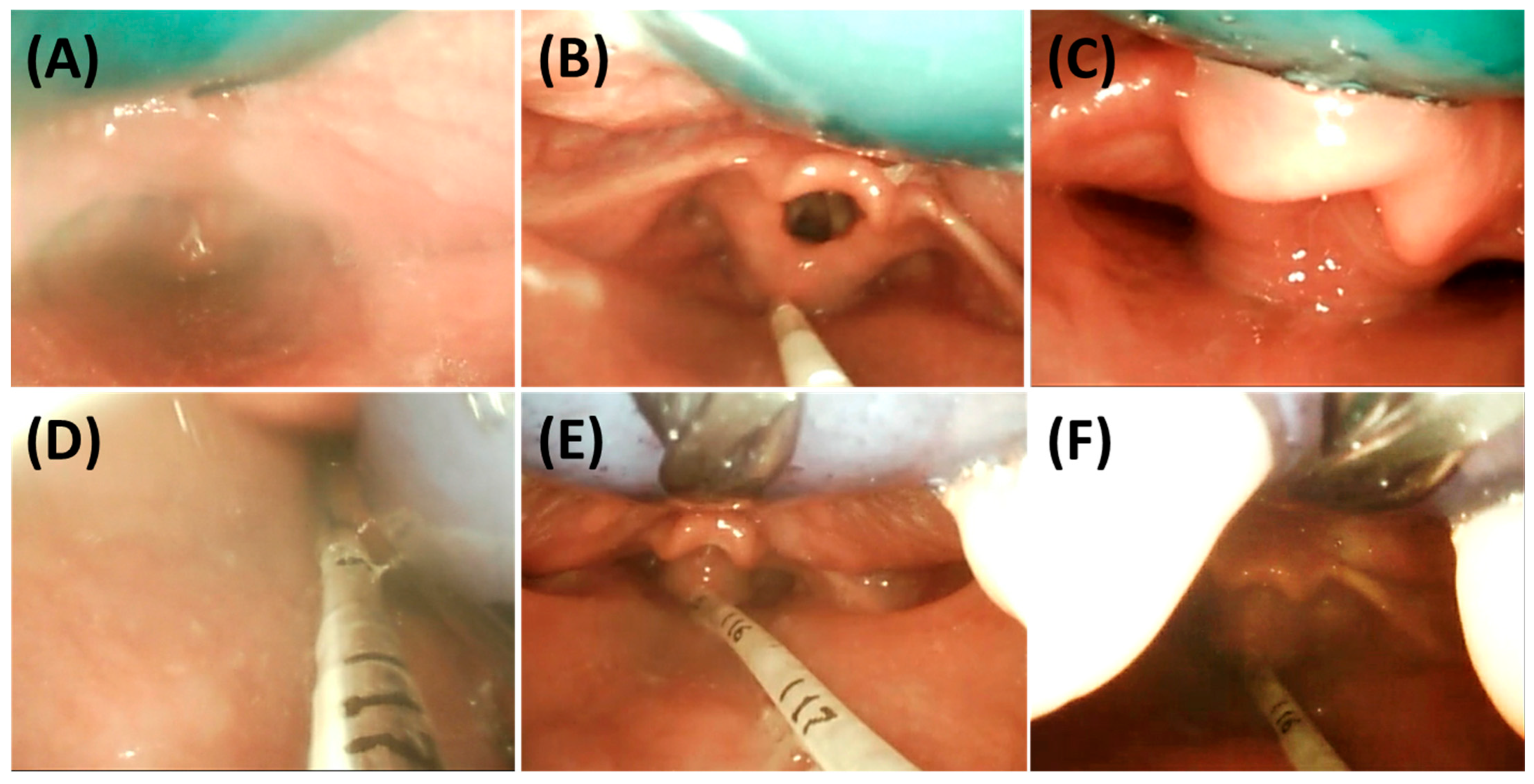 Bioengineering 12 01063 g014 Bioengineering 12 01063 g014