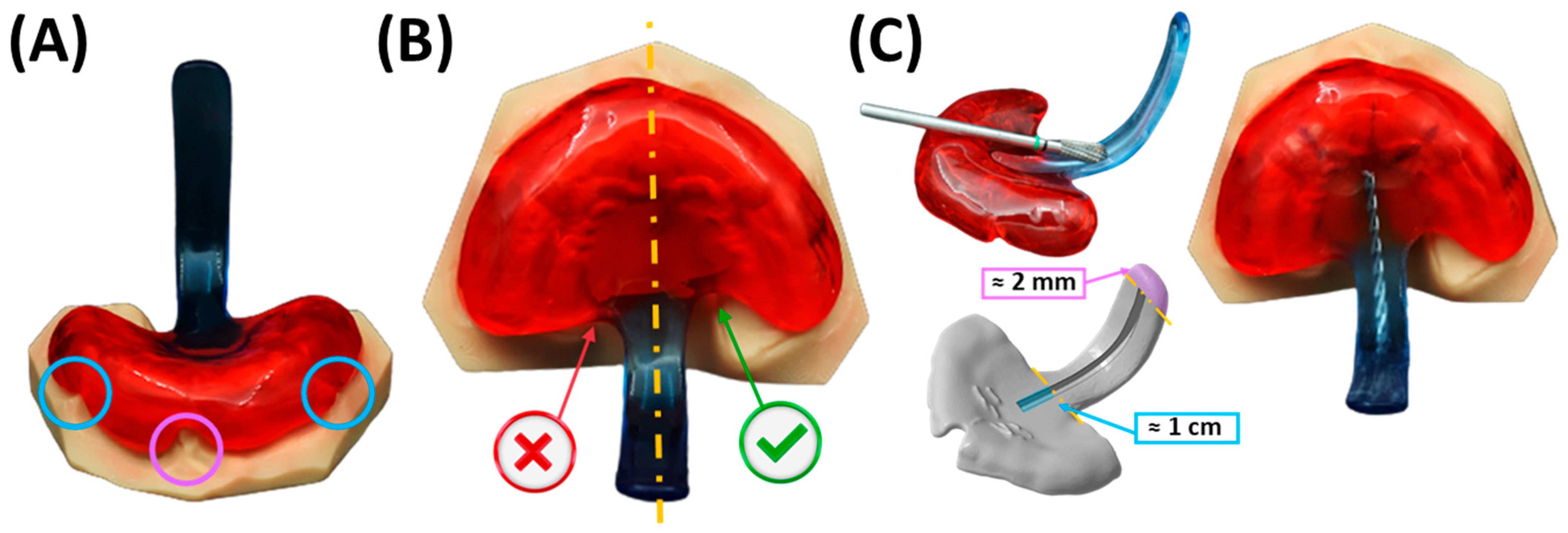 Bioengineering 12 01063 g016 Bioengineering 12 01063 g016