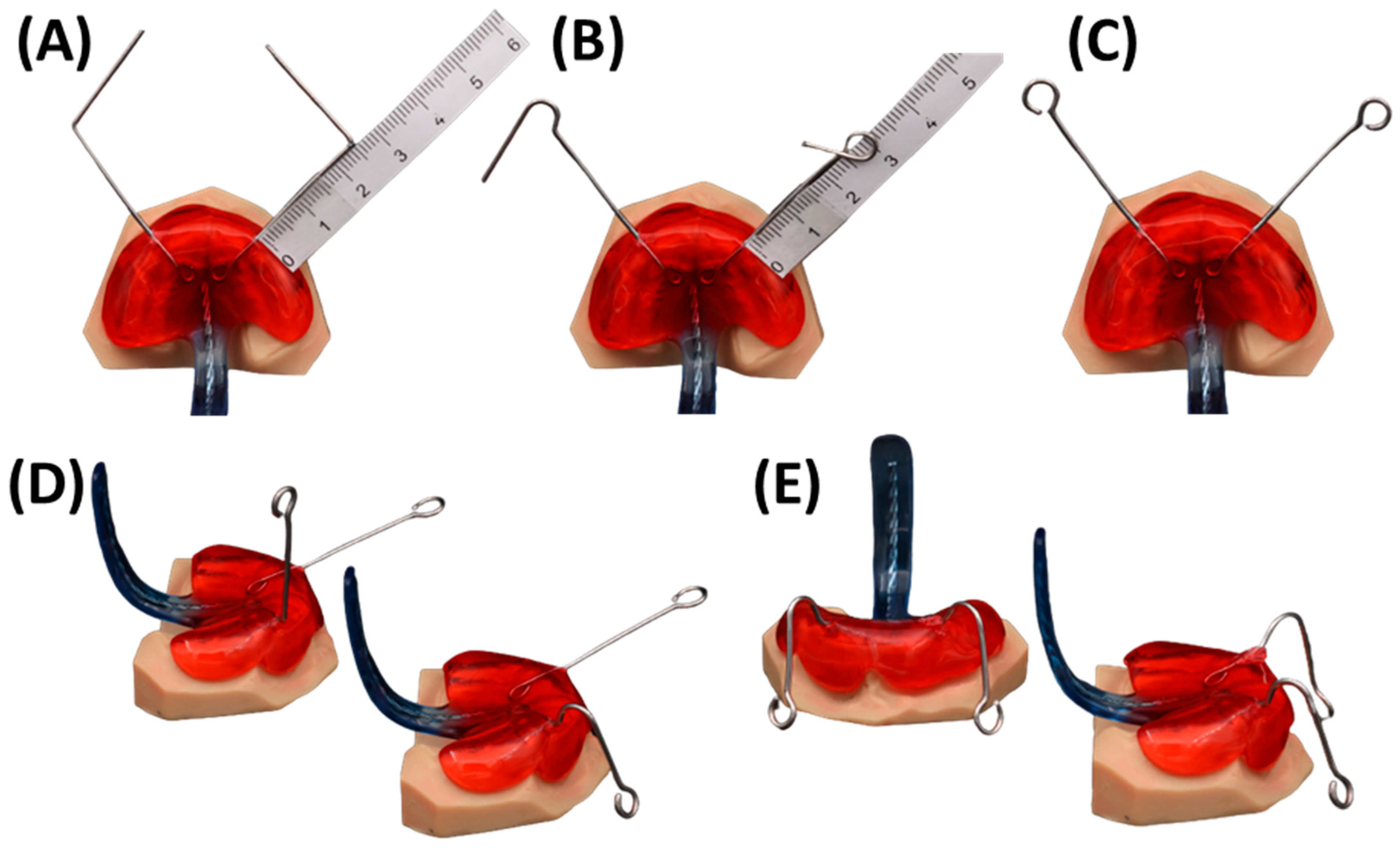 Bioengineering 12 01063 g017 Bioengineering 12 01063 g017