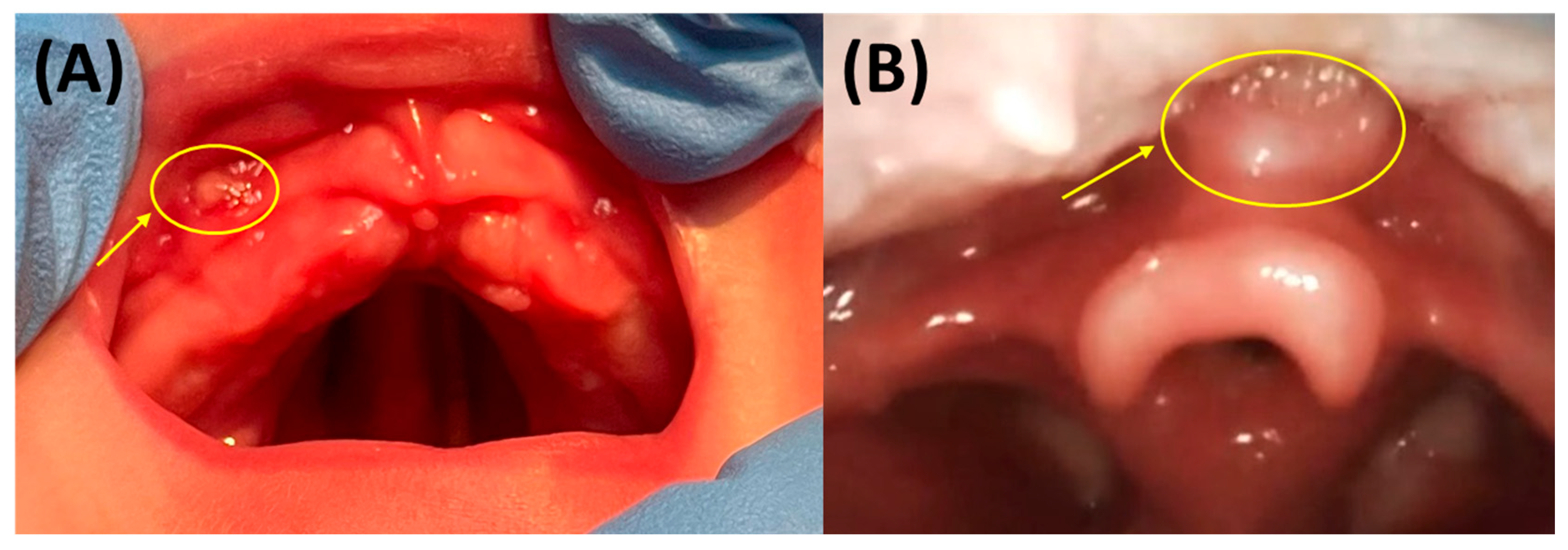 Bioengineering 12 01063 g020 Bioengineering 12 01063 g020