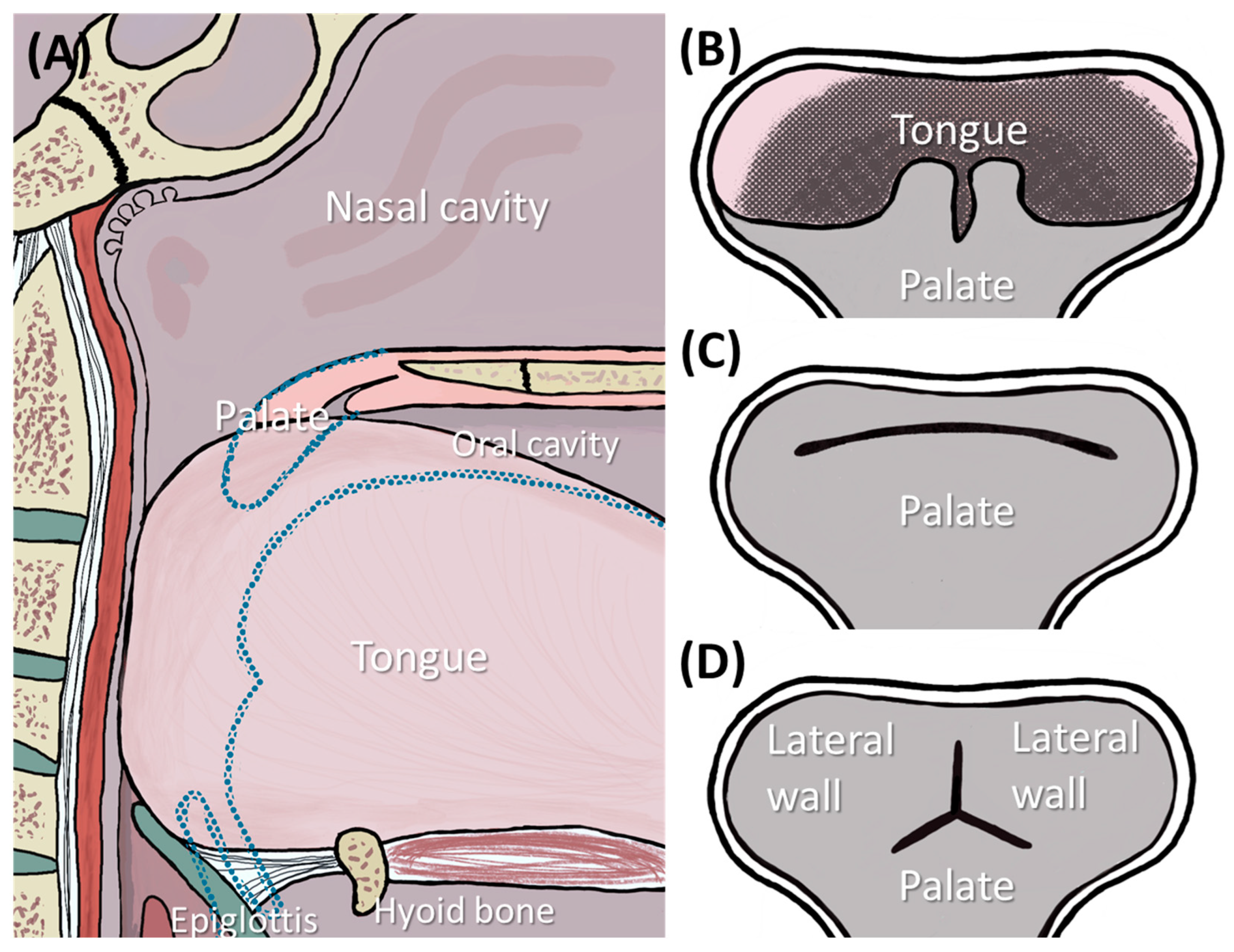 Bioengineering 12 01063 g026 Bioengineering 12 01063 g026