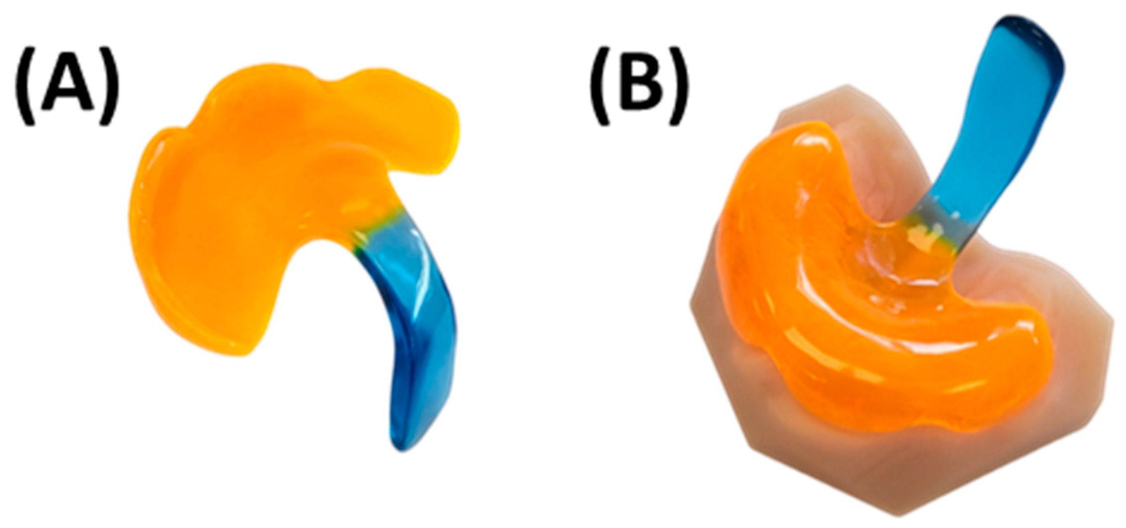 Bioengineering 12 01063 g029 Bioengineering 12 01063 g029