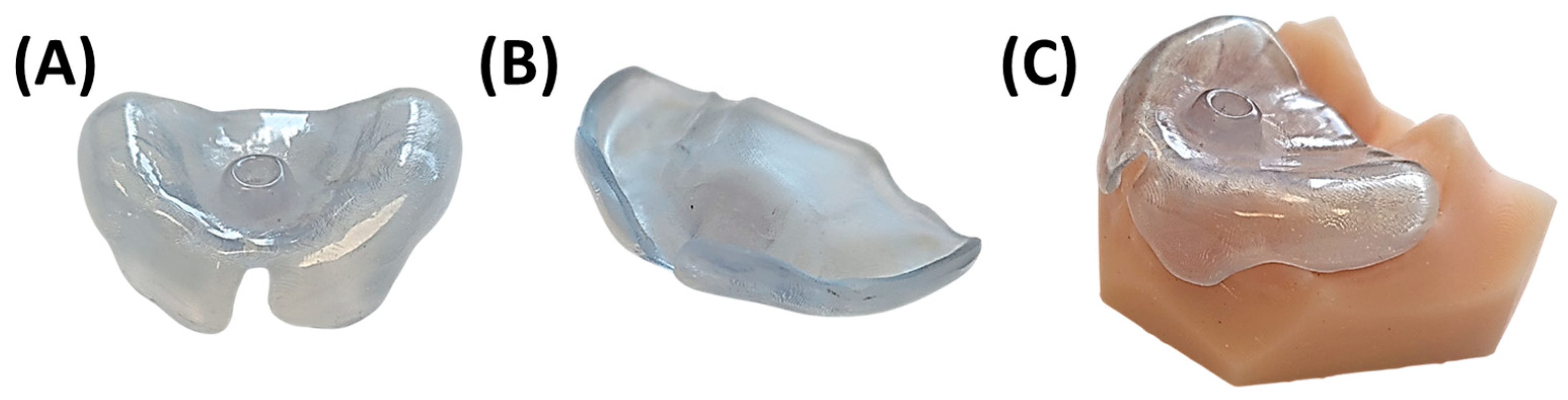 Bioengineering 12 01063 g030 Bioengineering 12 01063 g030