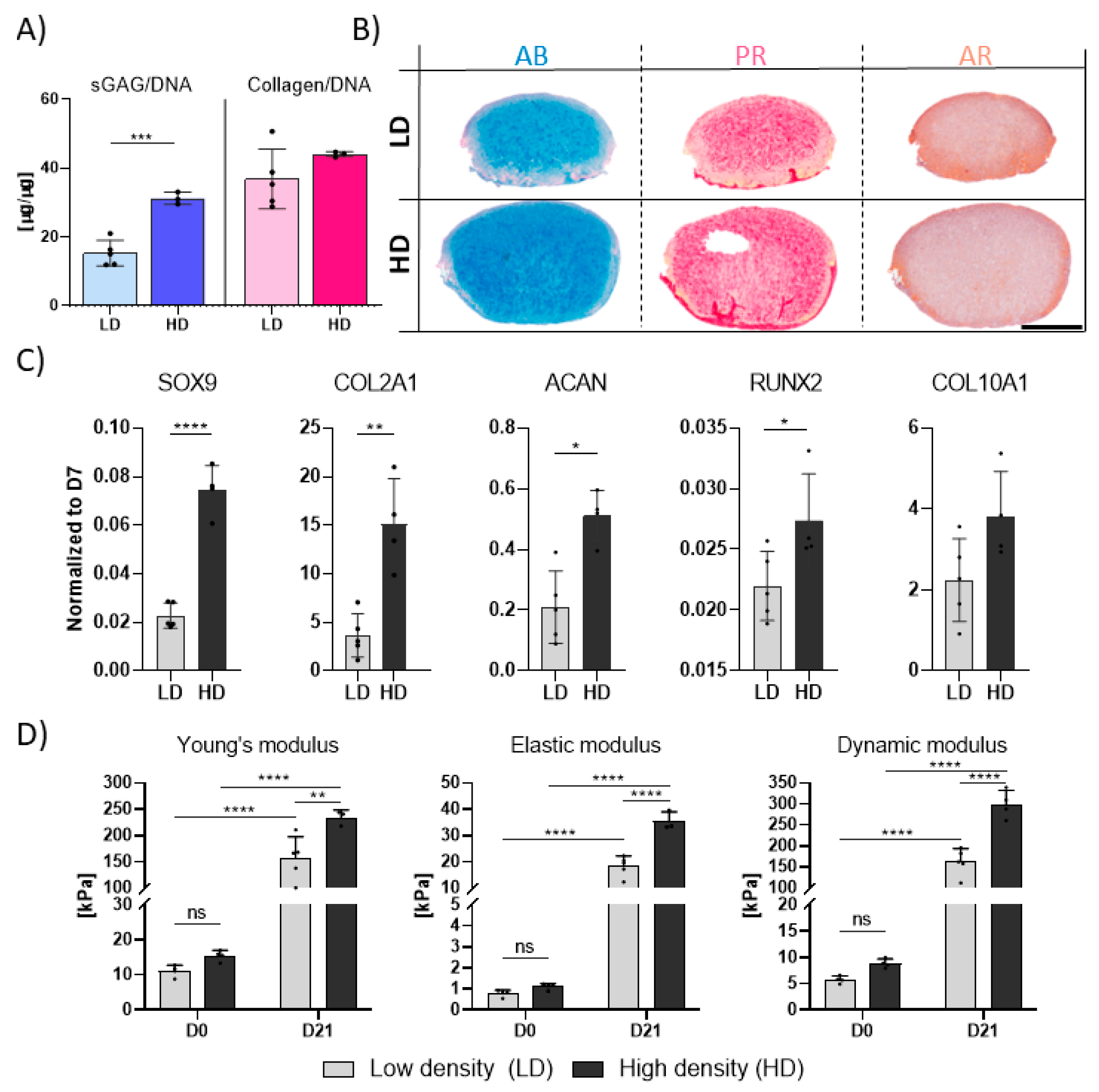 Bioengineering 12 01075 g002 Bioengineering 12 01075 g002