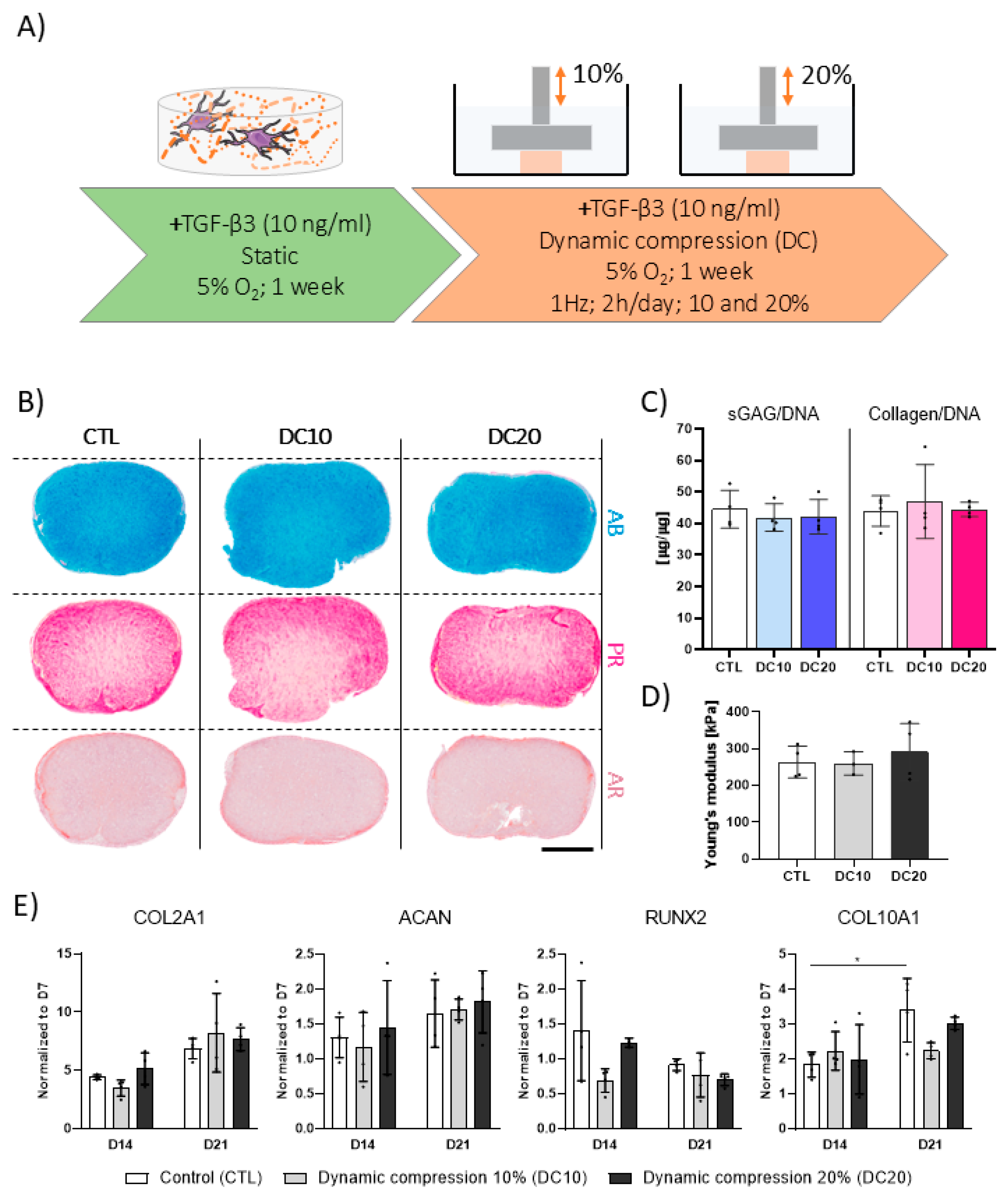 Bioengineering 12 01075 g003 Bioengineering 12 01075 g003