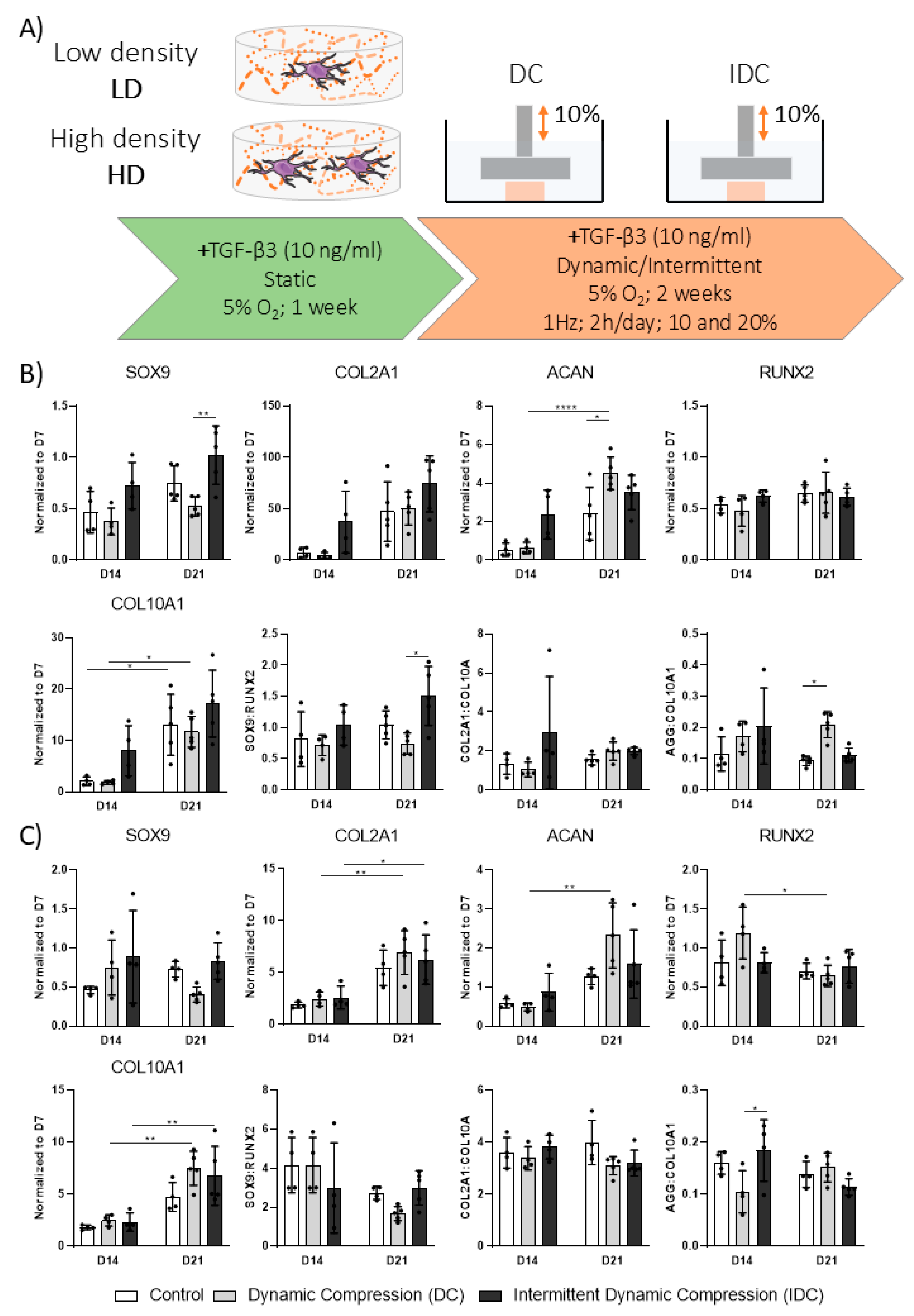 Bioengineering 12 01075 g004 Bioengineering 12 01075 g004