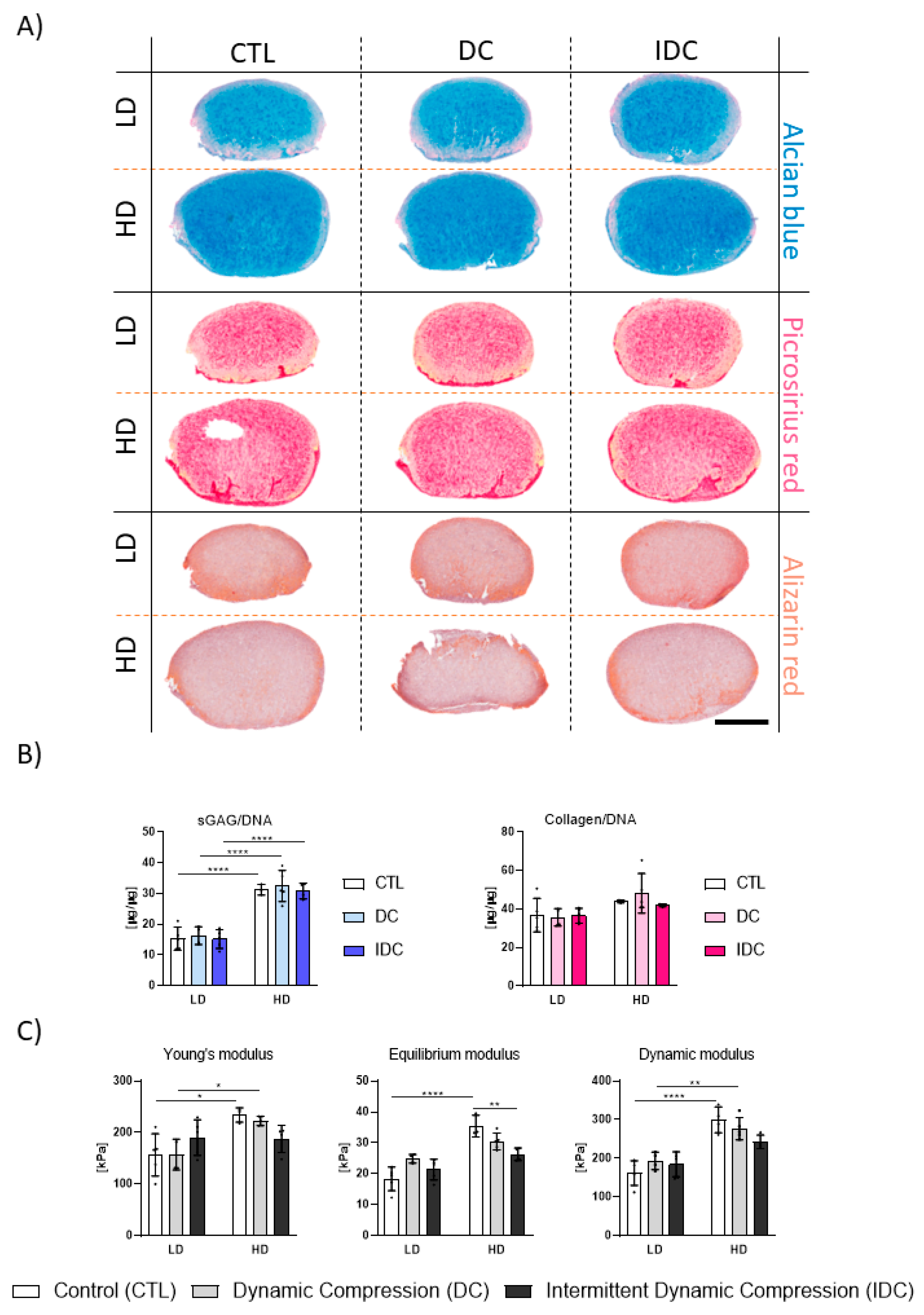 Bioengineering 12 01075 g005 Bioengineering 12 01075 g005