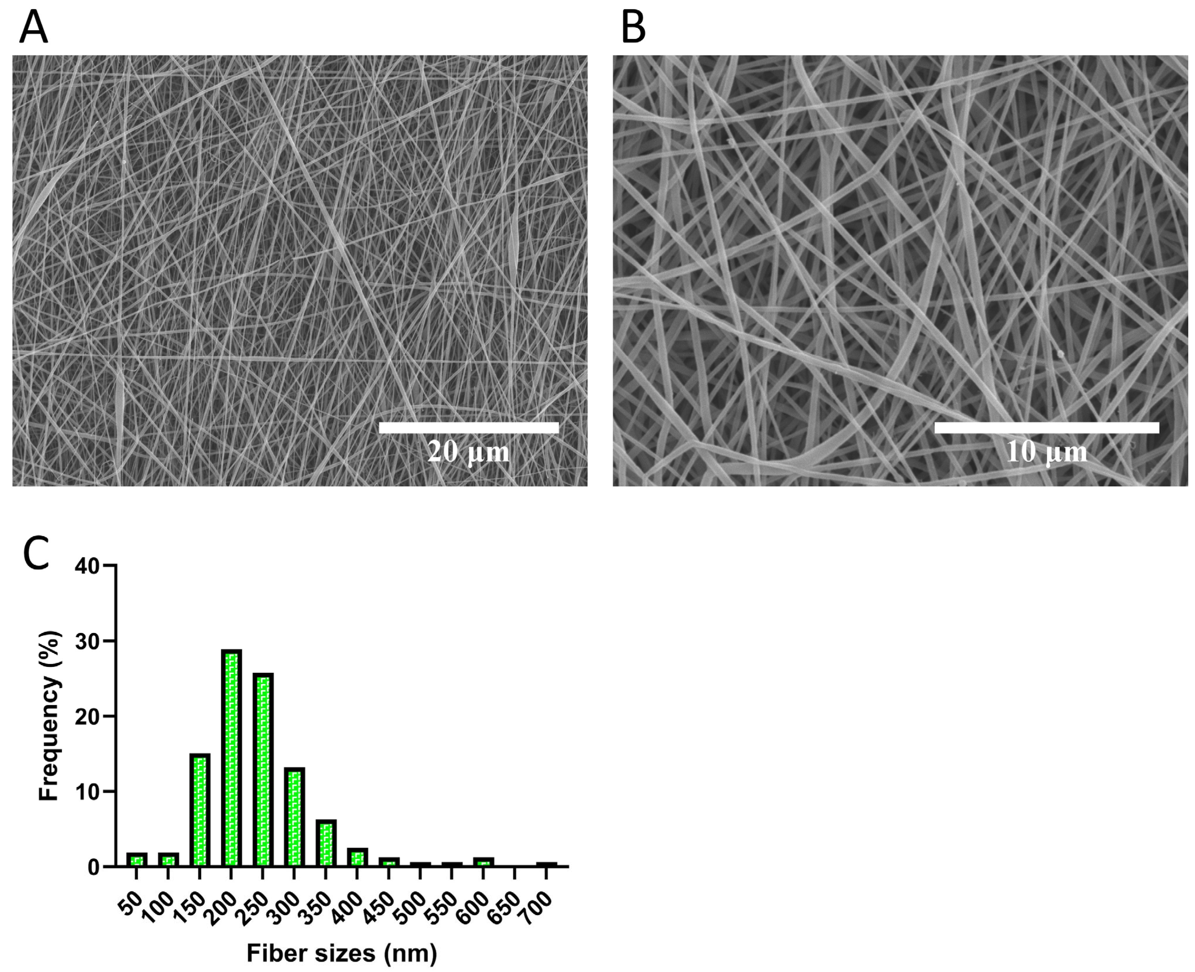 Bioengineering 12 01077 g001 Bioengineering 12 01077 g001