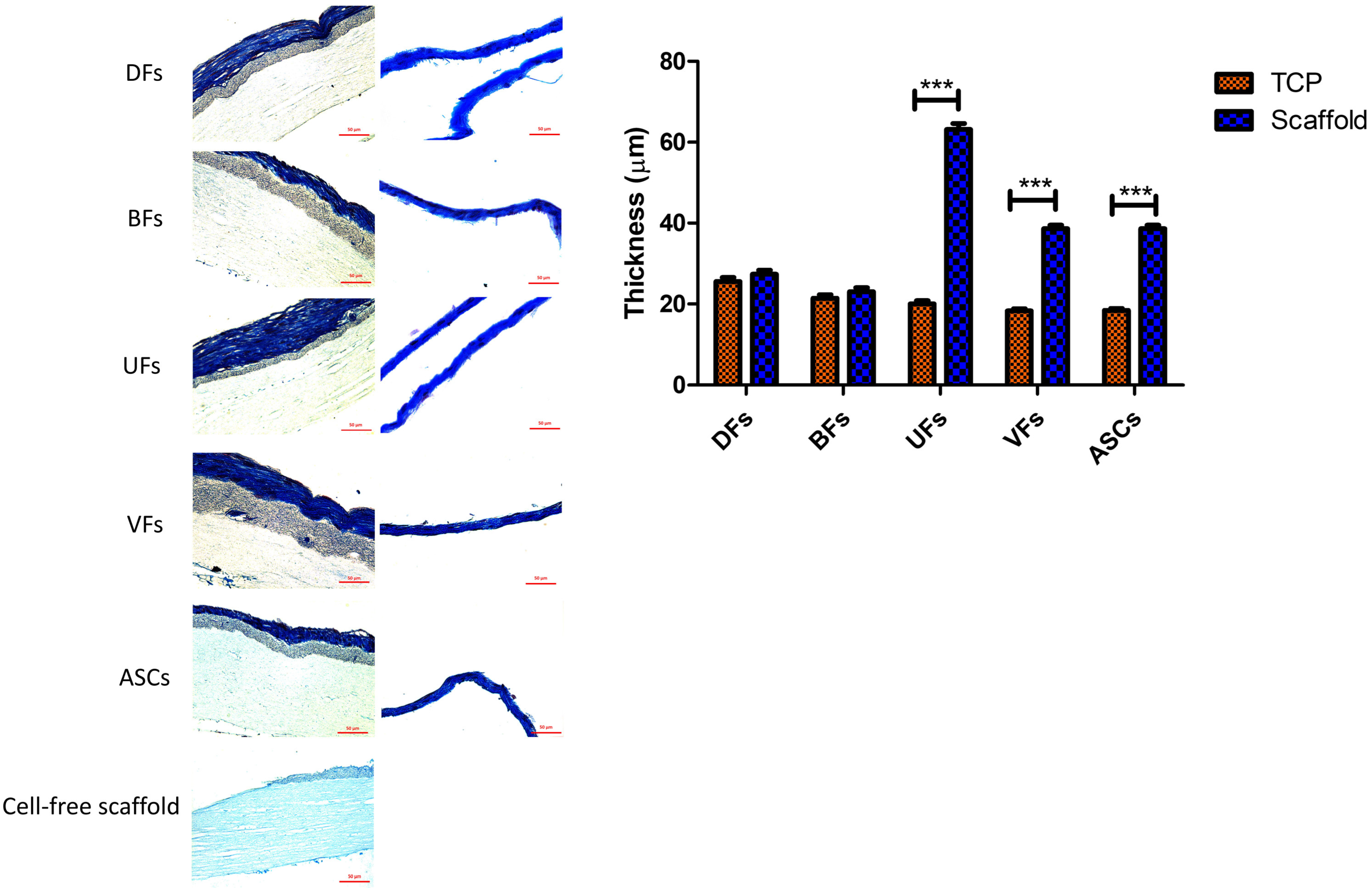 Bioengineering 12 01077 g006 Bioengineering 12 01077 g006