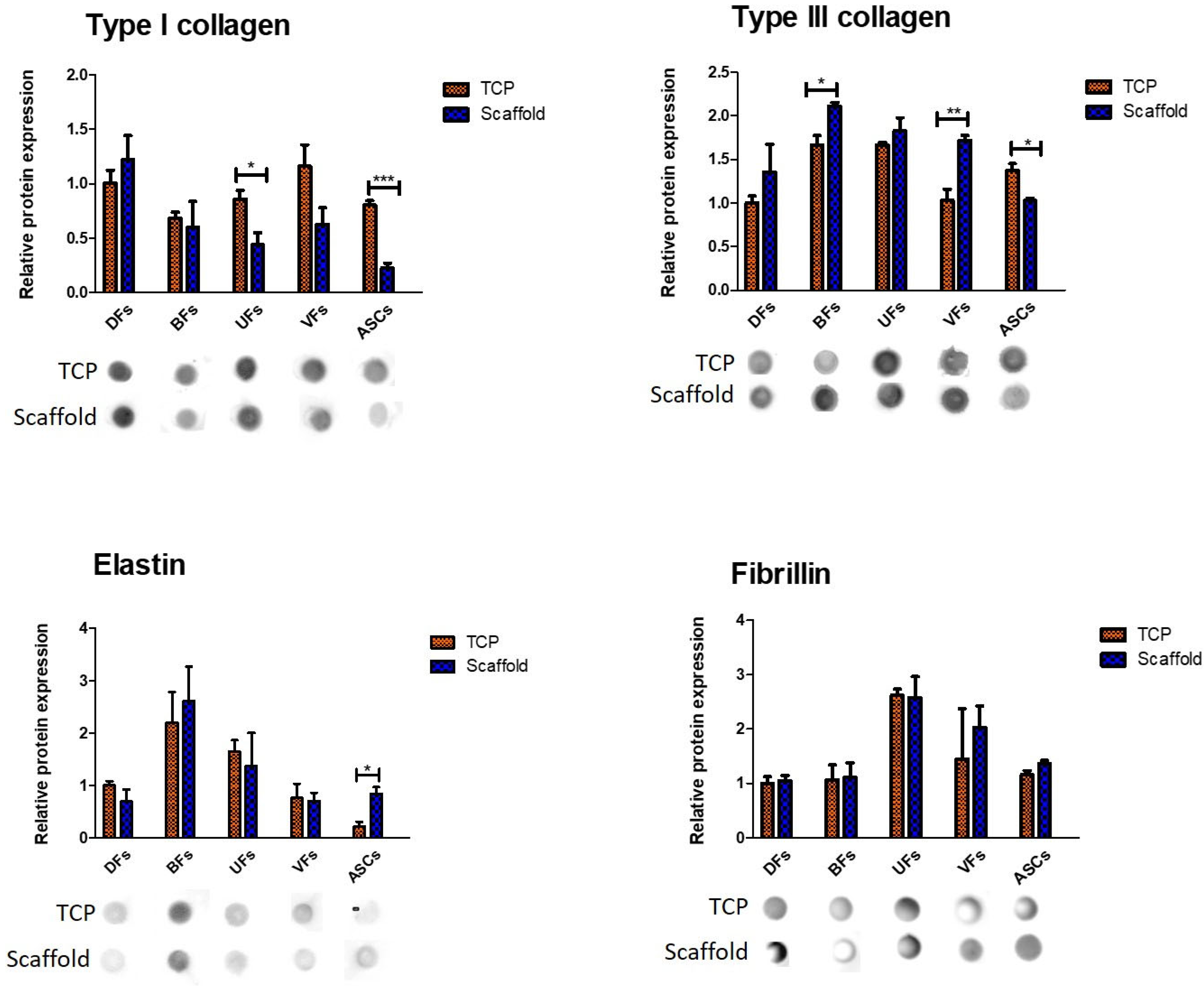Bioengineering 12 01077 g007 Bioengineering 12 01077 g007