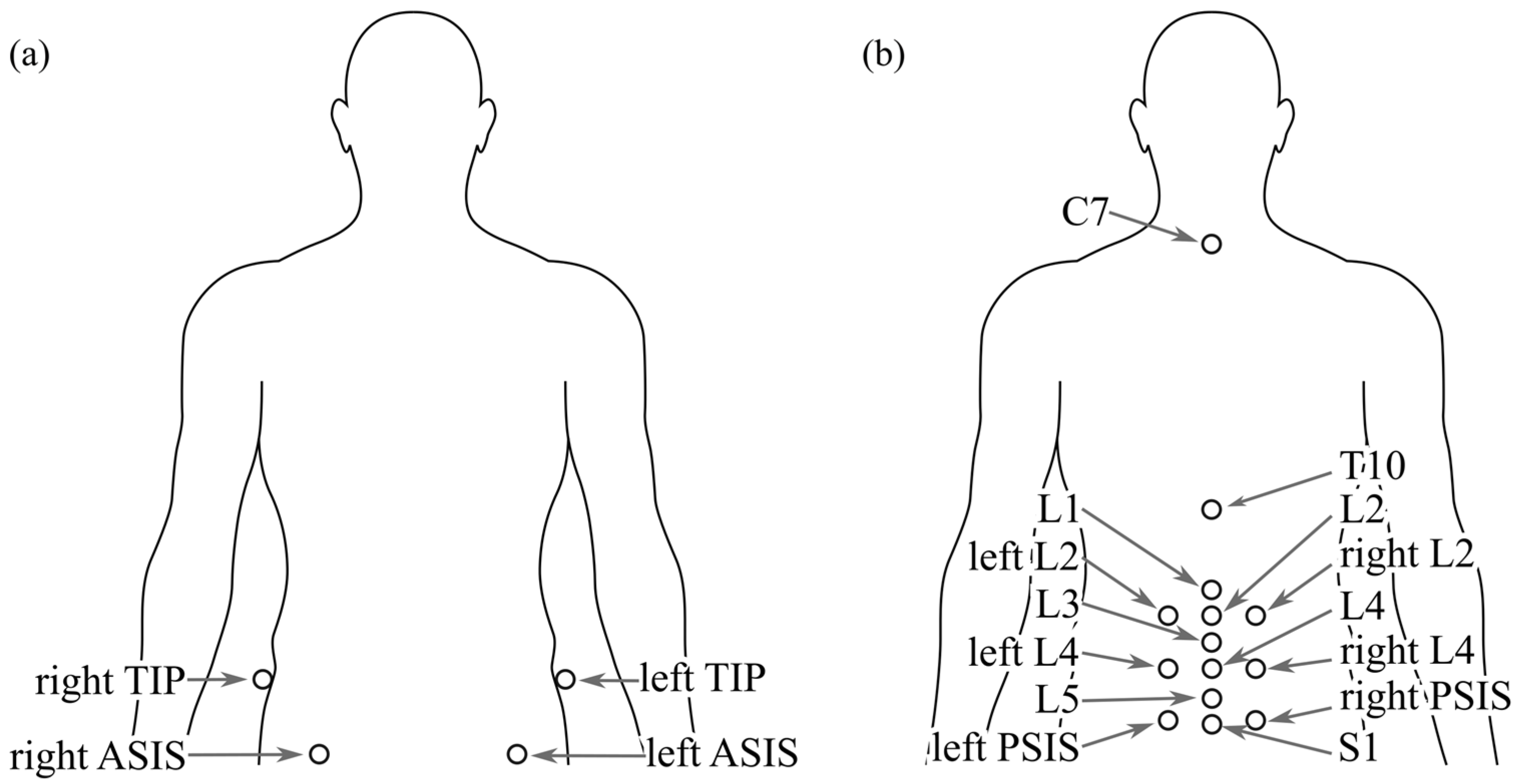 Bioengineering 12 01087 g001 Bioengineering 12 01087 g001