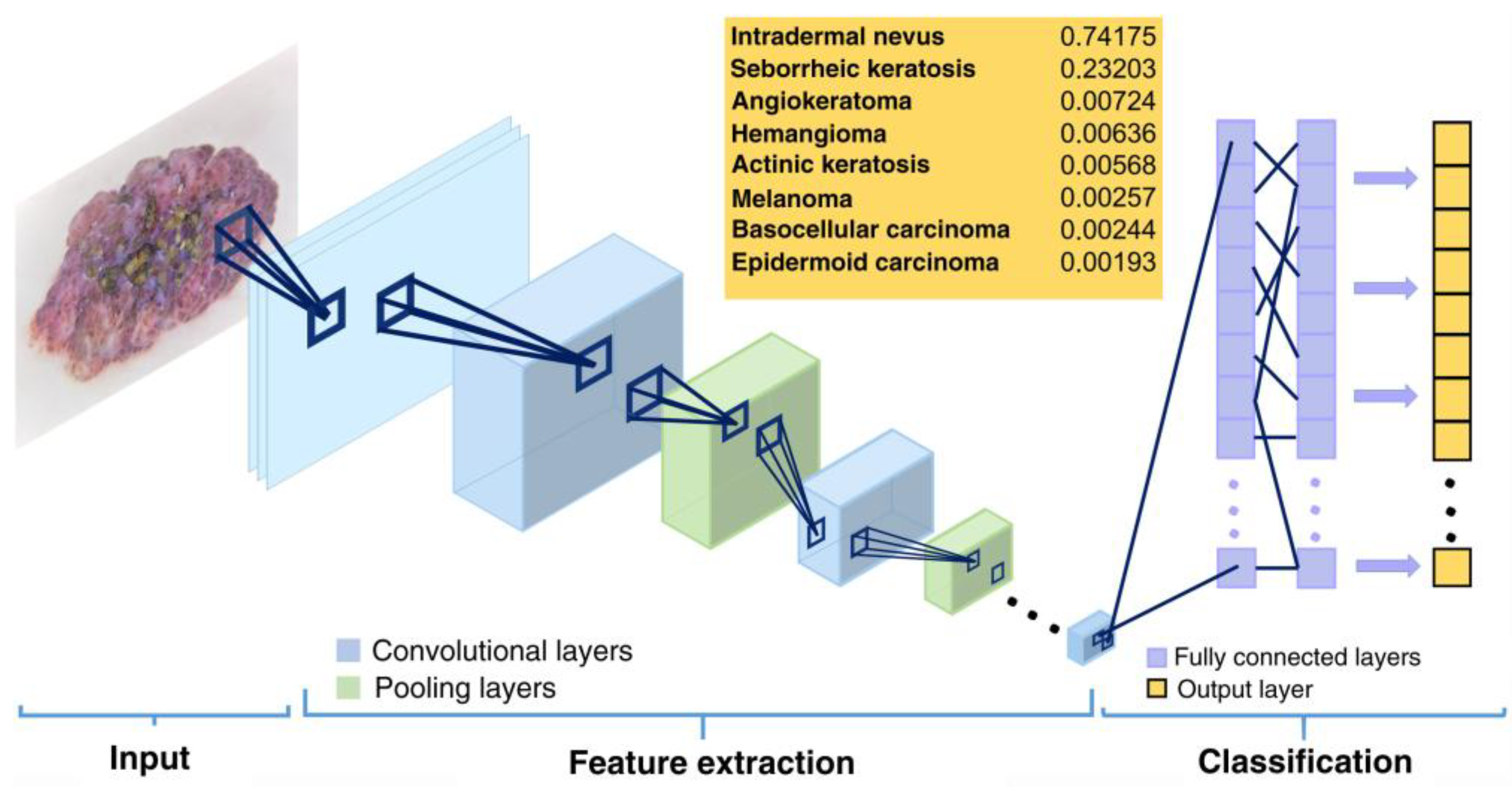 Bioengineering 12 01113 g002 Bioengineering 12 01113 g002