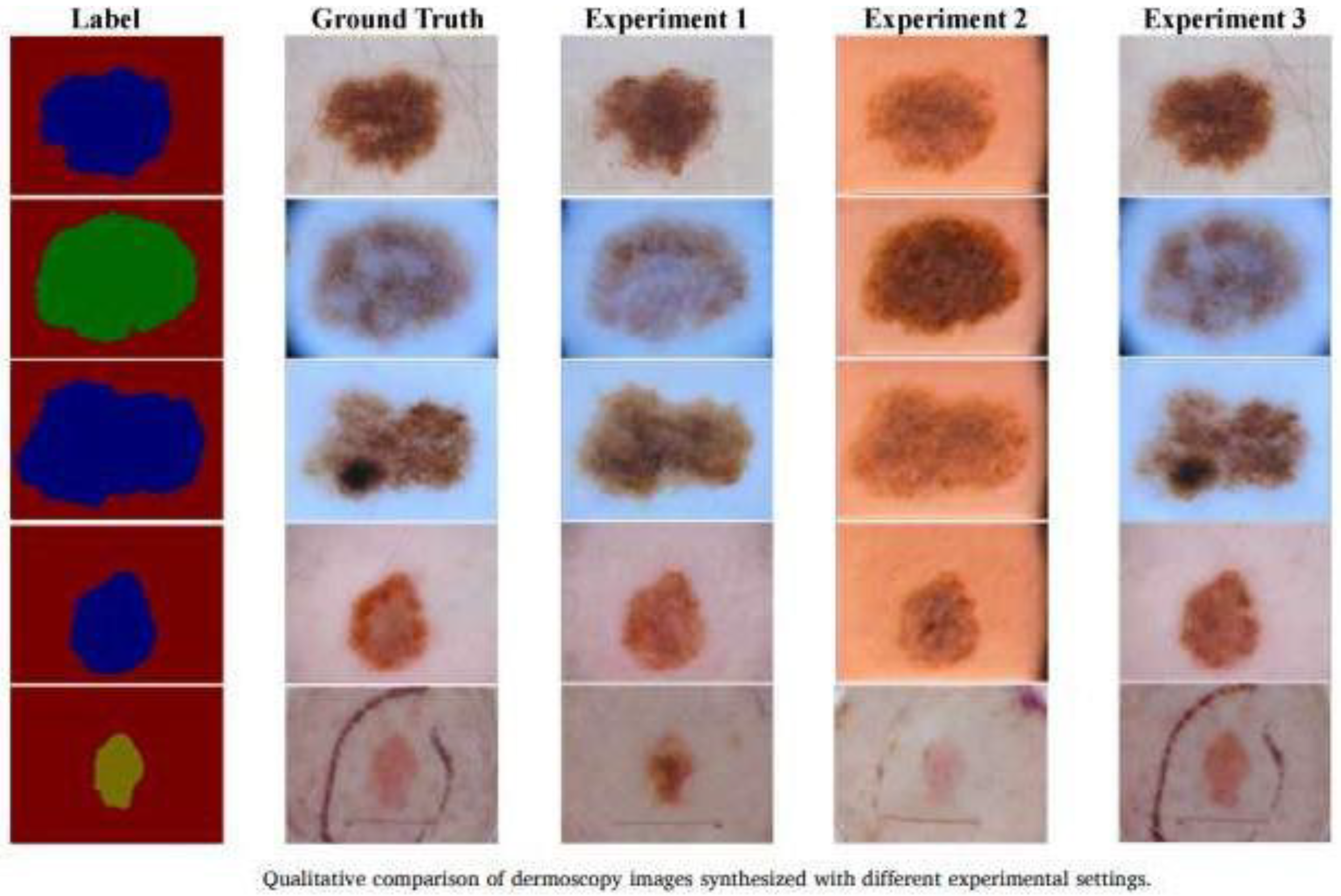 Bioengineering 12 01113 g011 Bioengineering 12 01113 g011