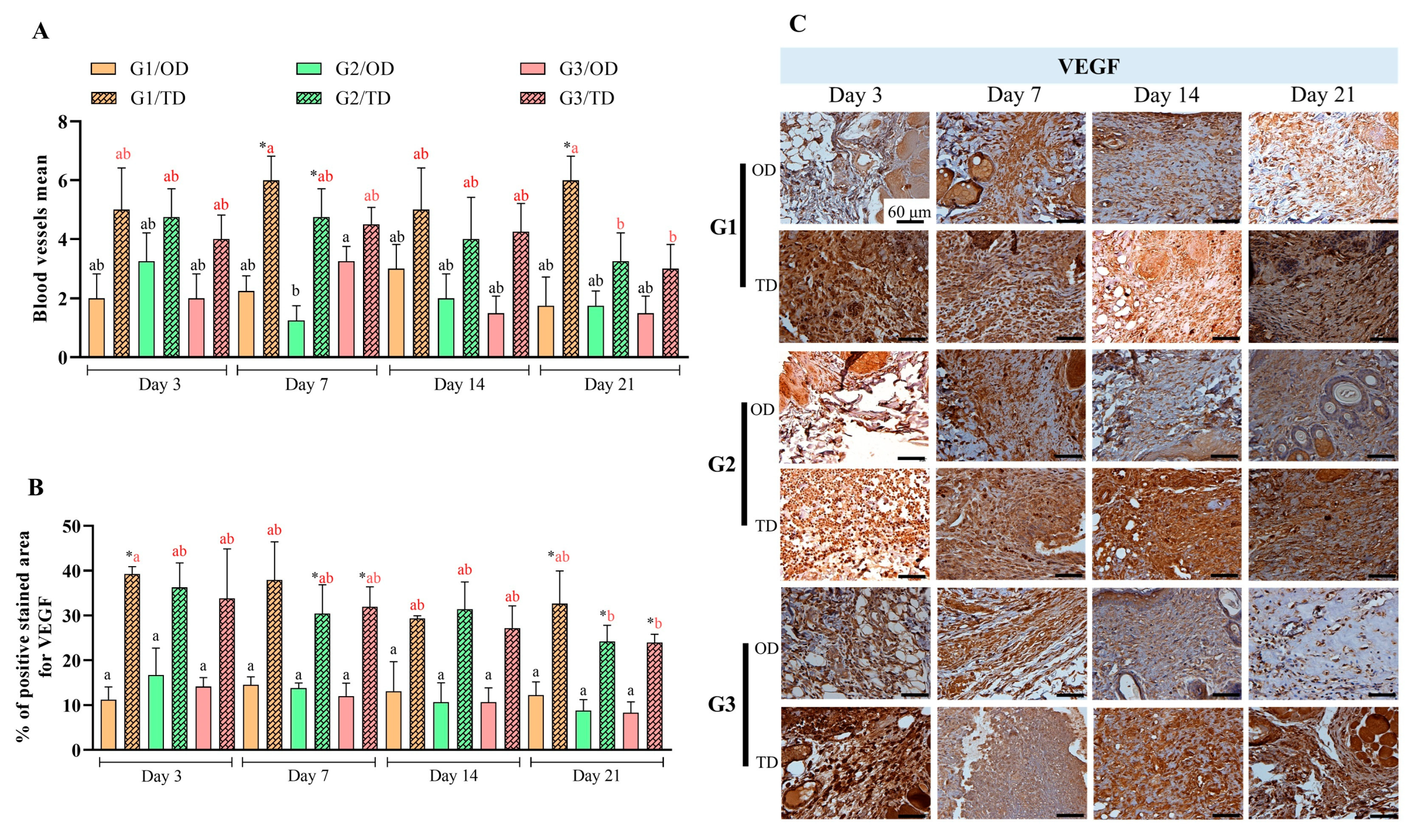 Bioengineering 12 01147 g004 Bioengineering 12 01147 g004