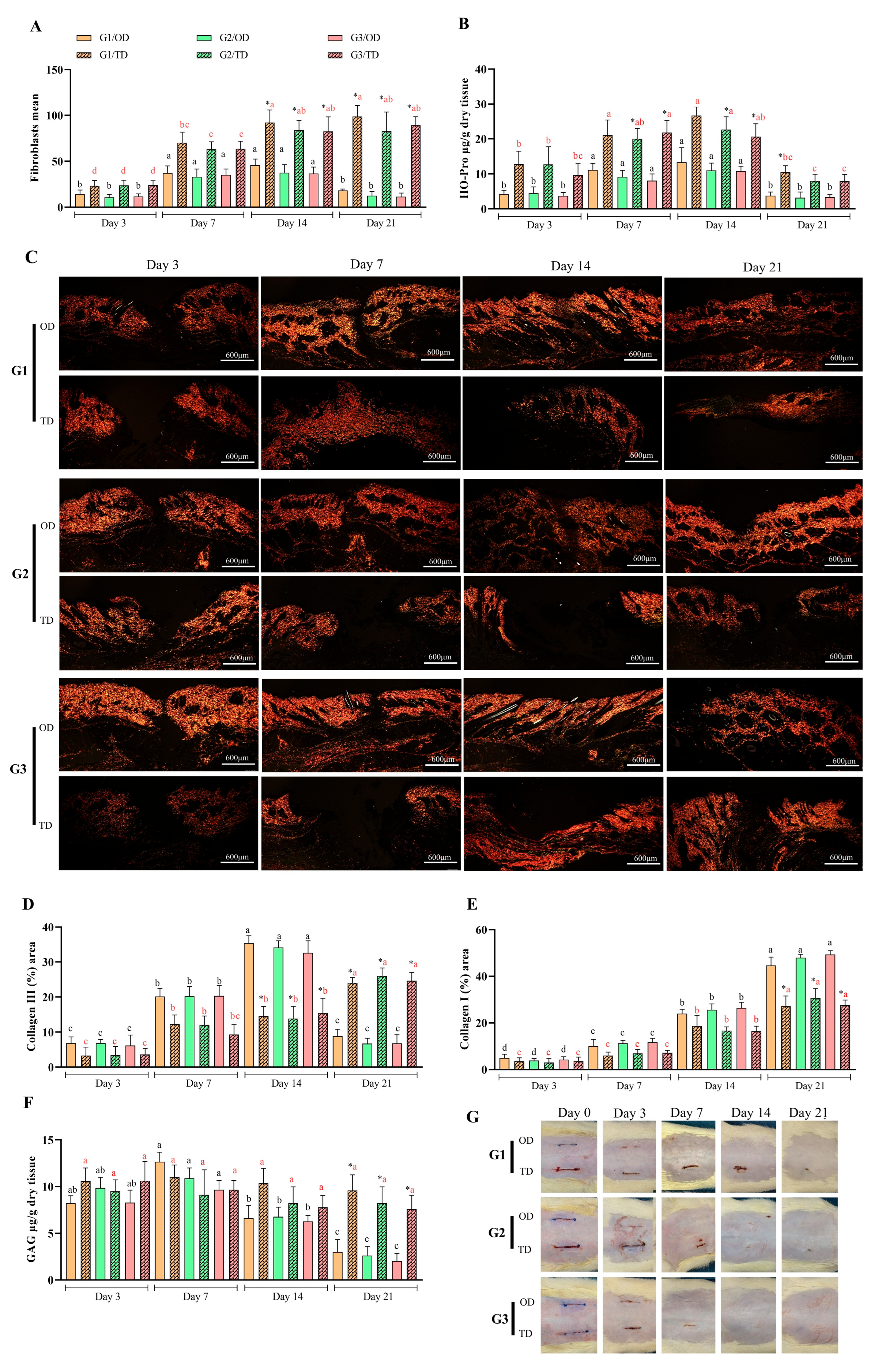 Bioengineering 12 01147 g005 Bioengineering 12 01147 g005