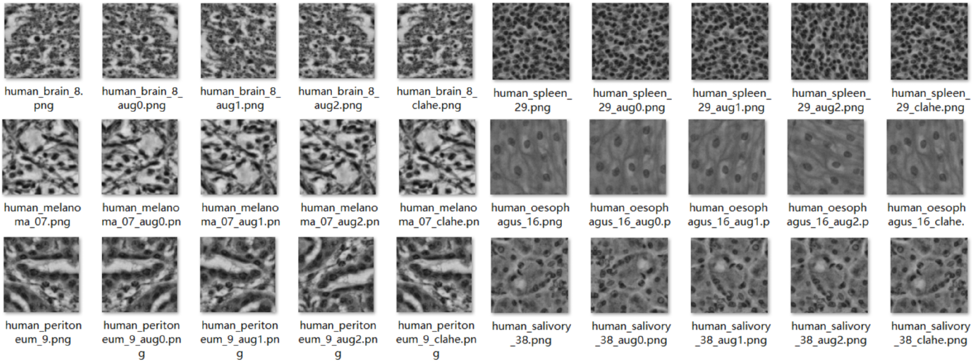 Bioengineering 12 01156 g002 Bioengineering 12 01156 g002