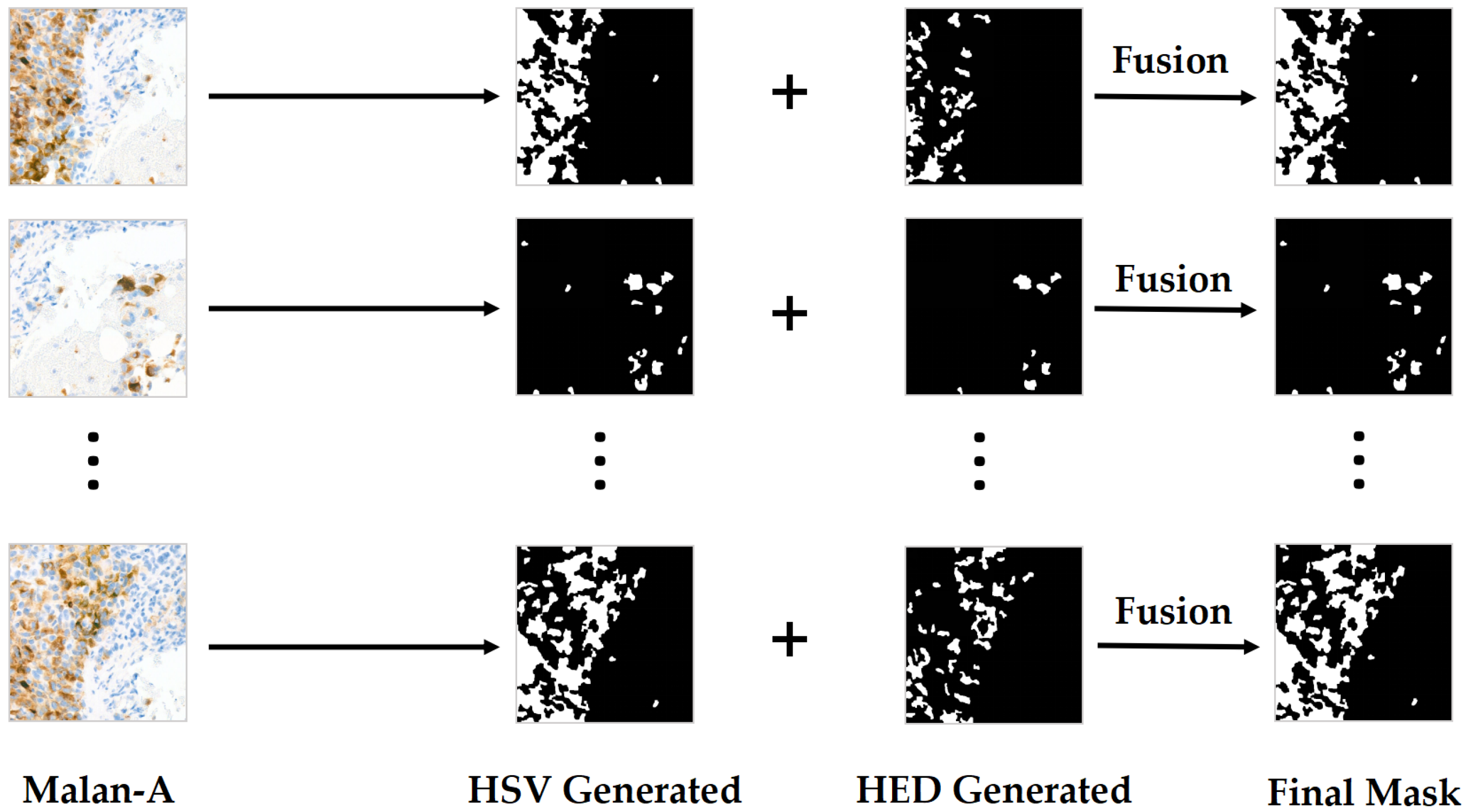 Bioengineering 12 01156 g007 Bioengineering 12 01156 g007